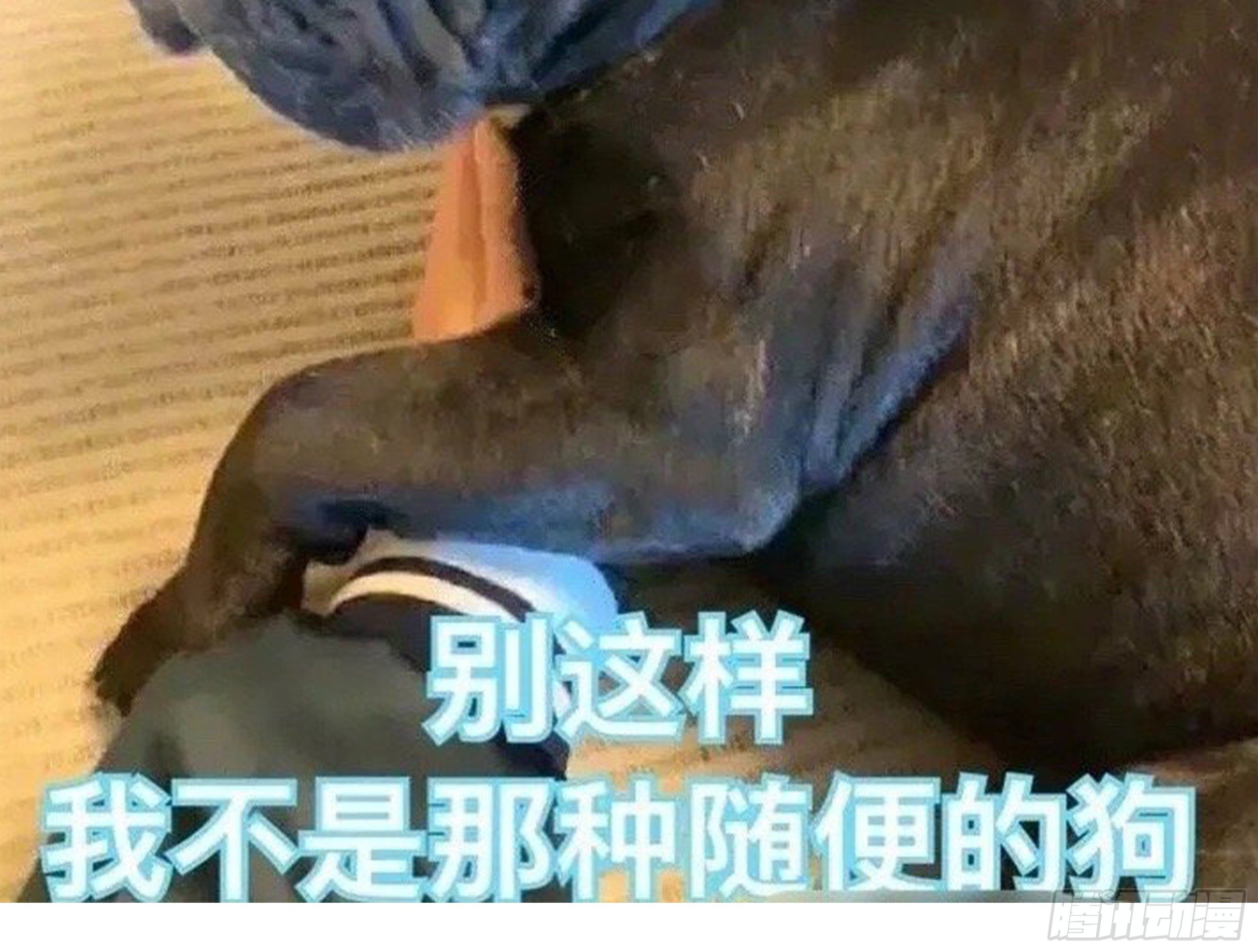 24. 心之所向71