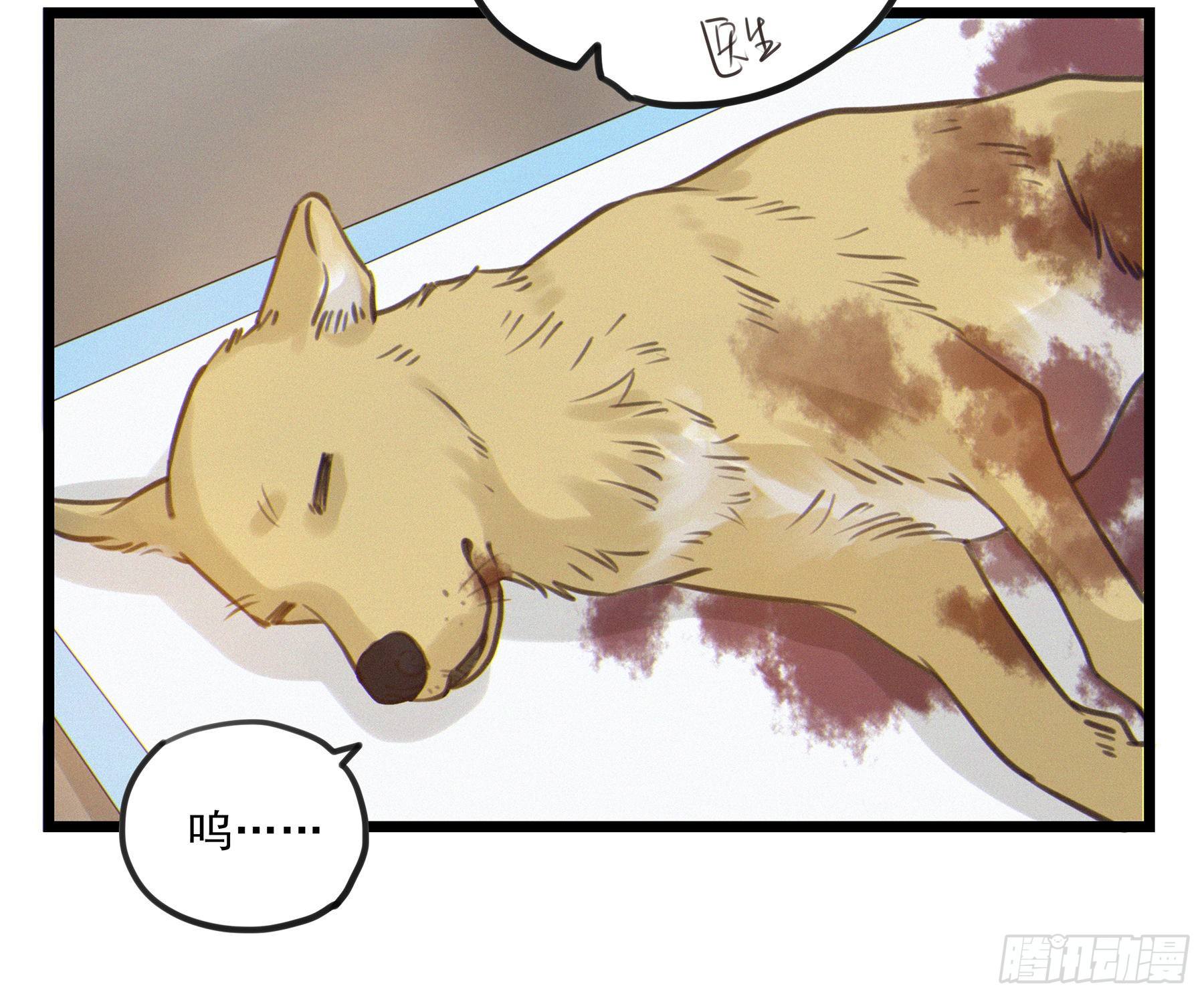 03.抉择65