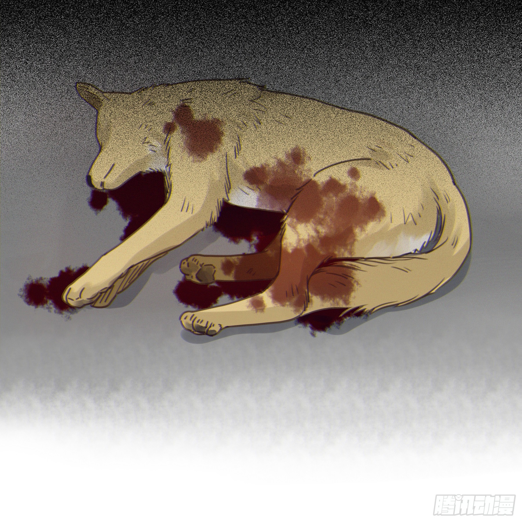 03.抉择60