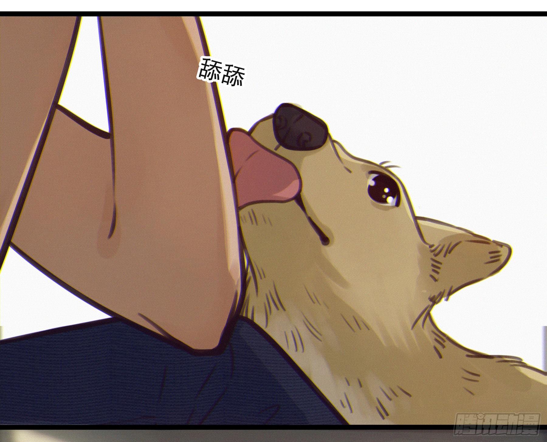 02.免赔条件31