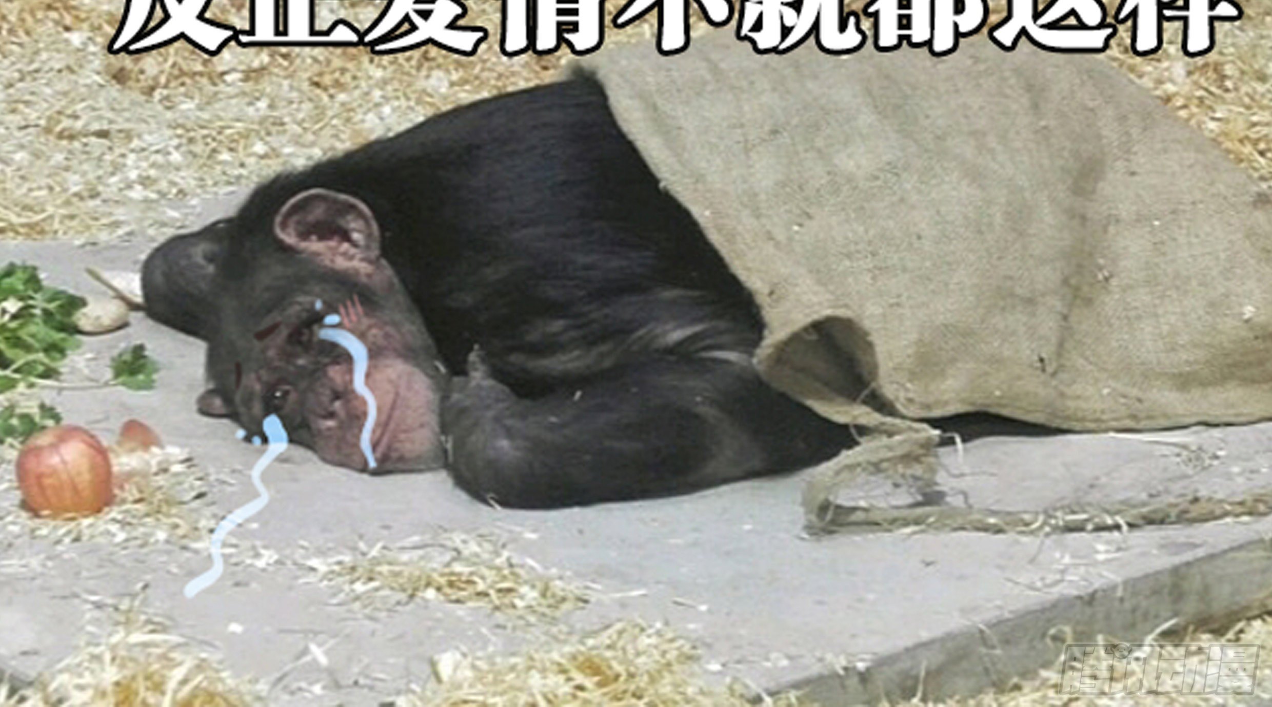 20. 雨天128