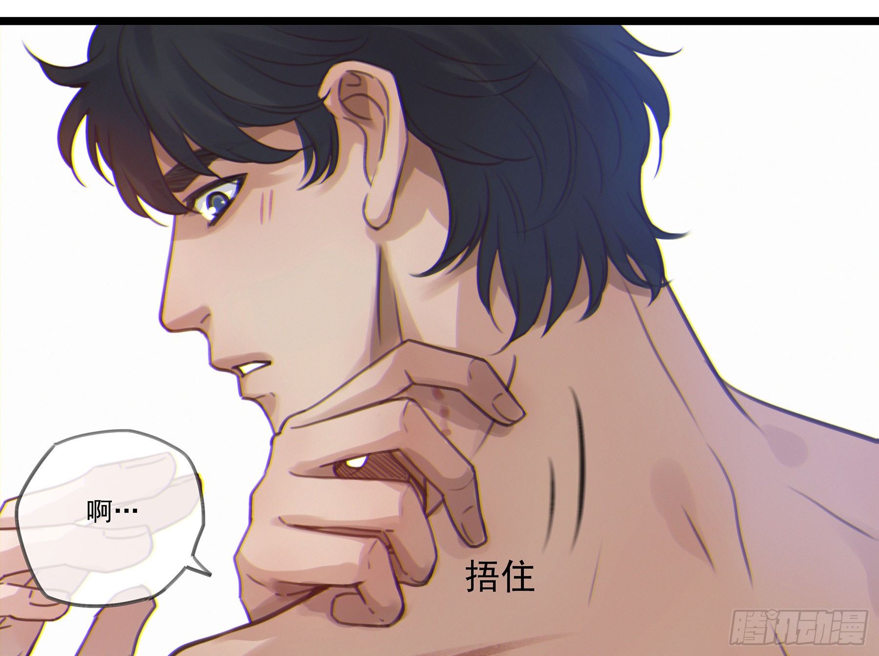 12. 梦11