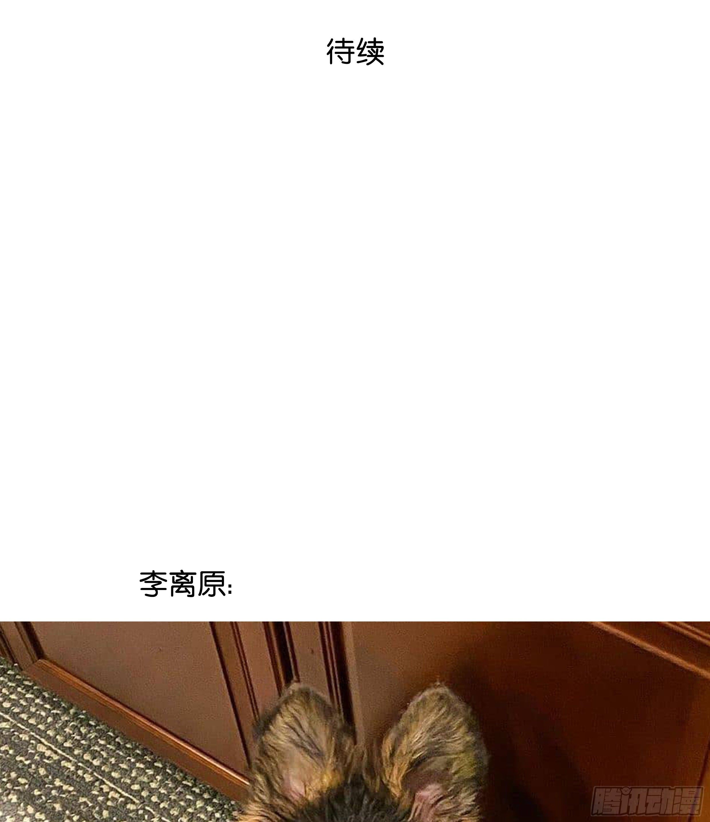 21. 月光下的秘密70