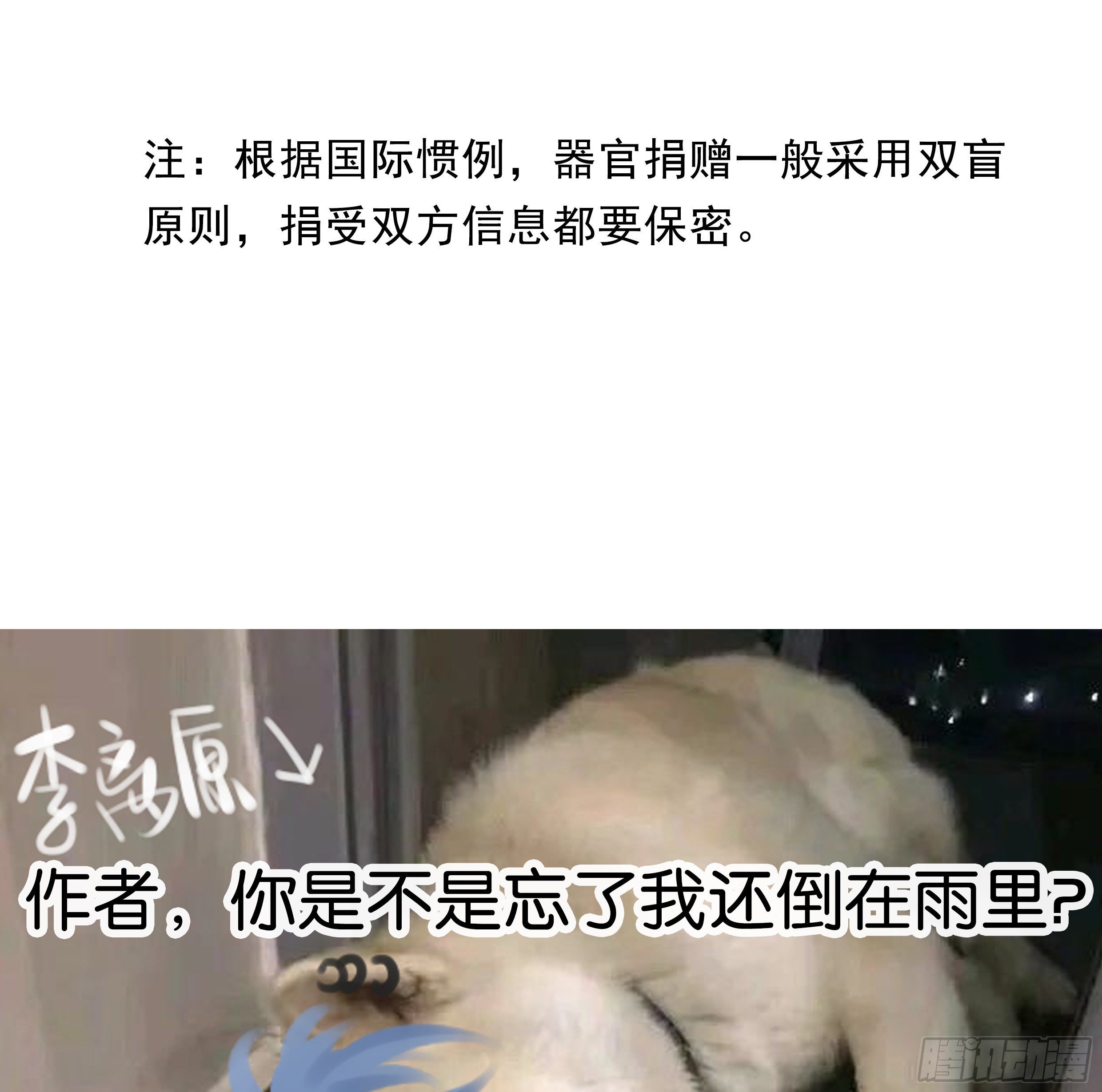 23. 属于夜的星星88