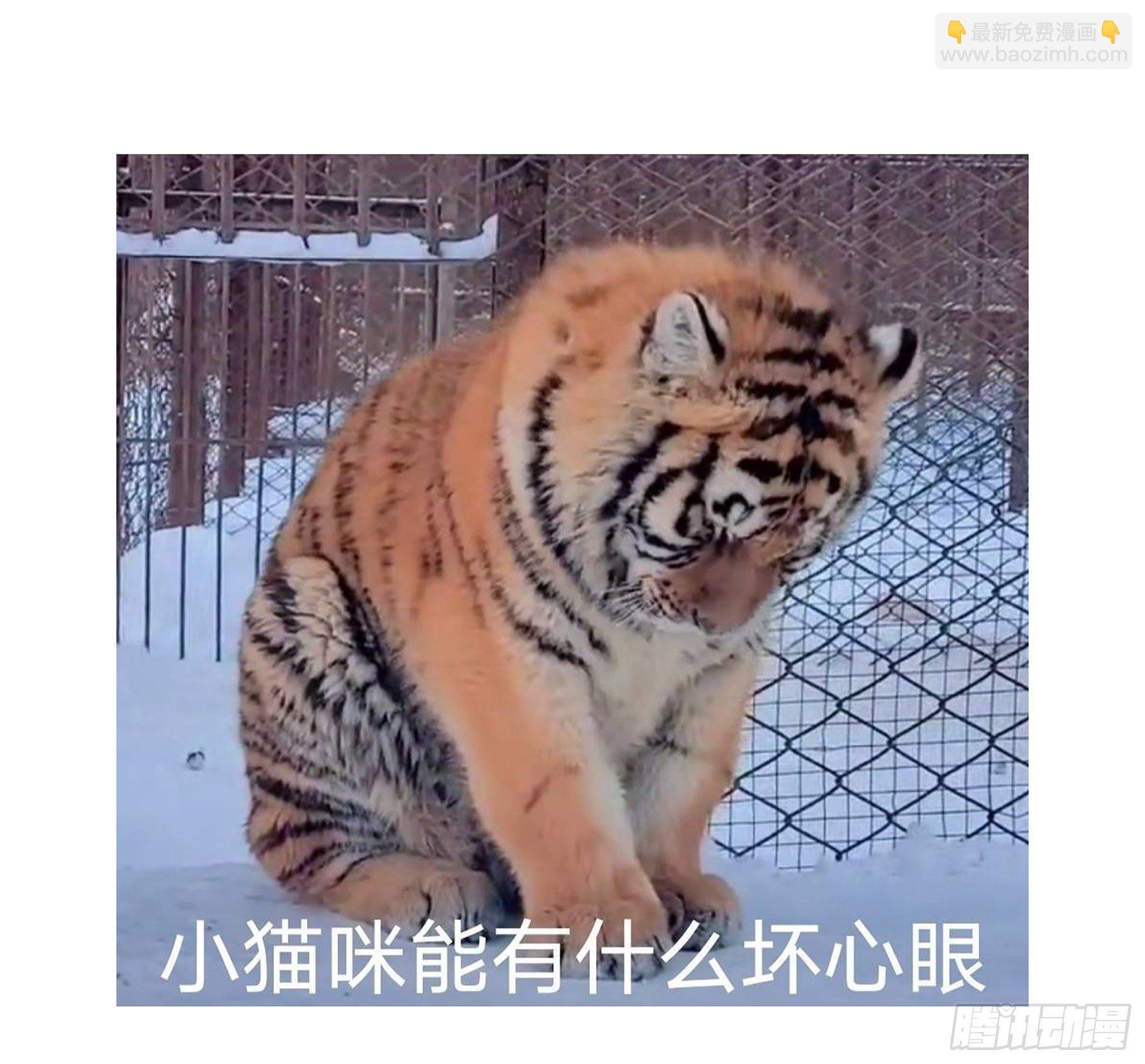 15. 心起涟漪53