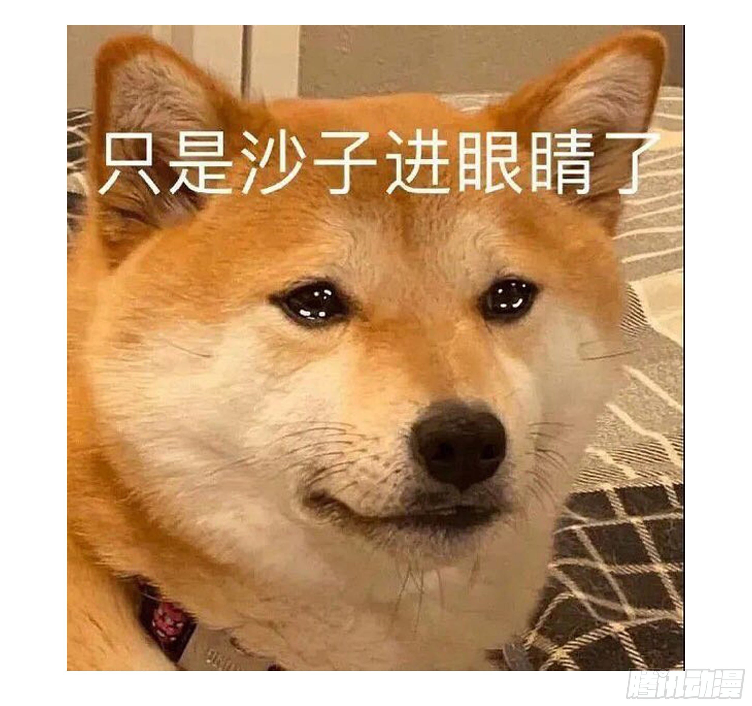 26. 尘封的过去88