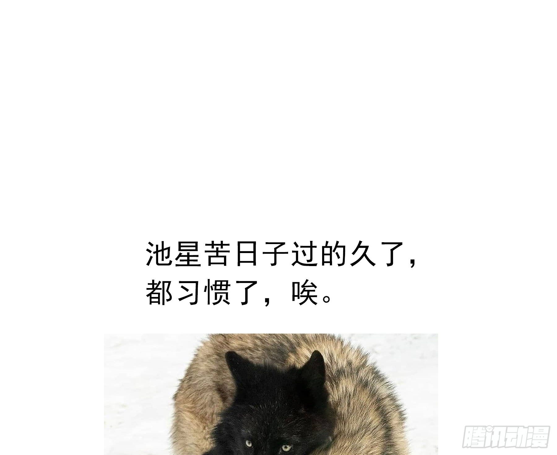 15. 心起涟漪49