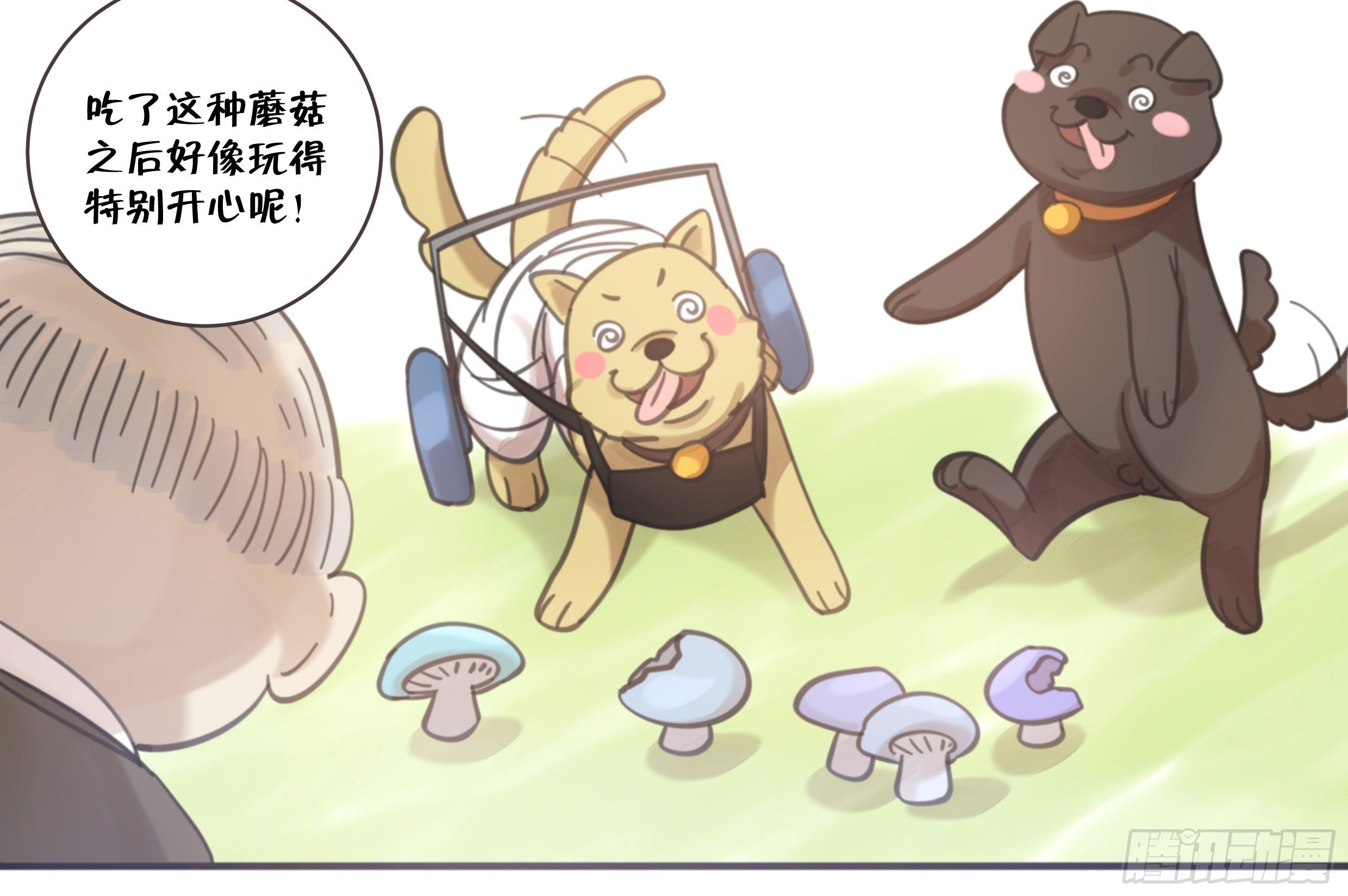 27. 深入研究68