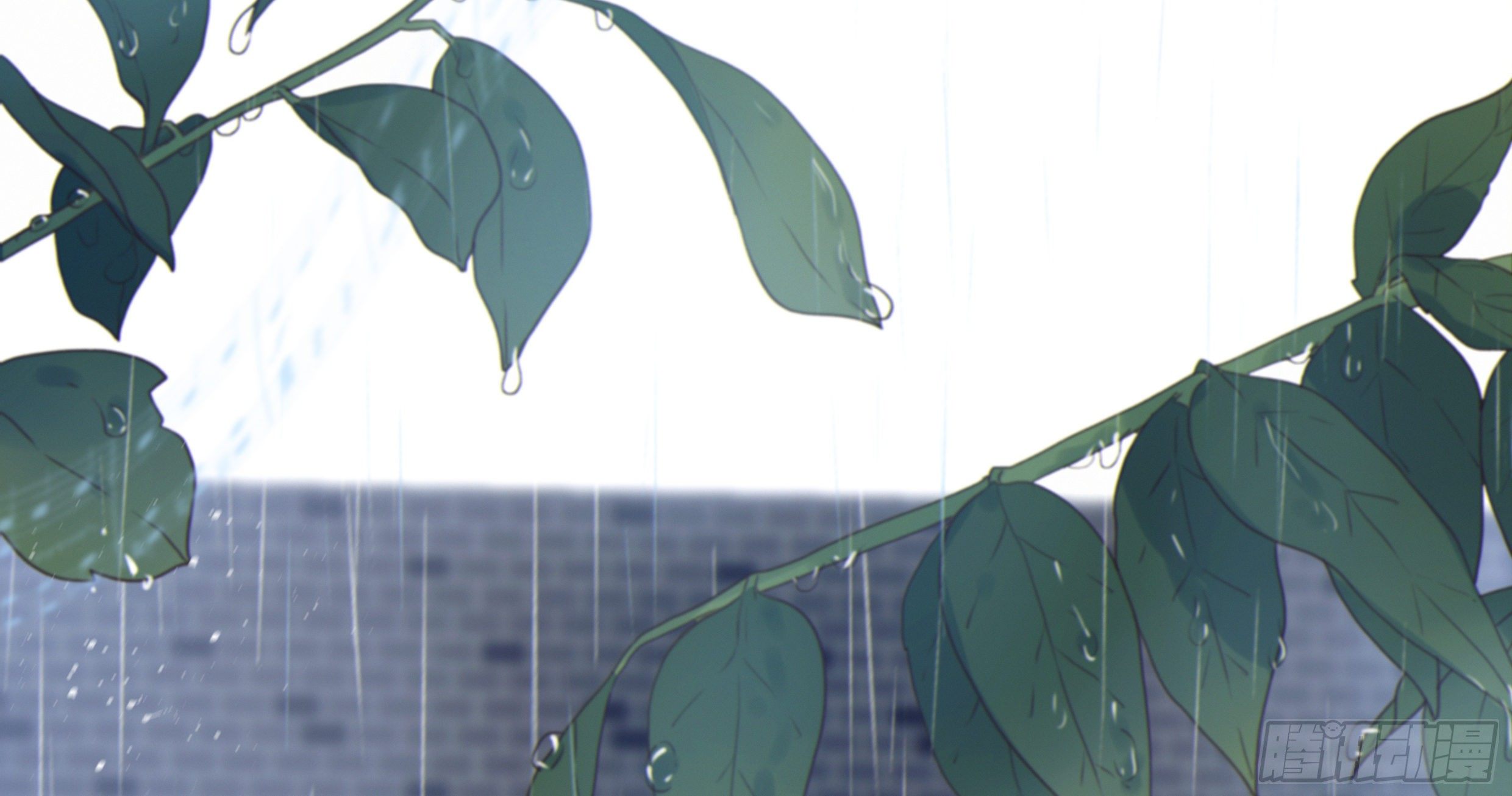 20. 雨天109
