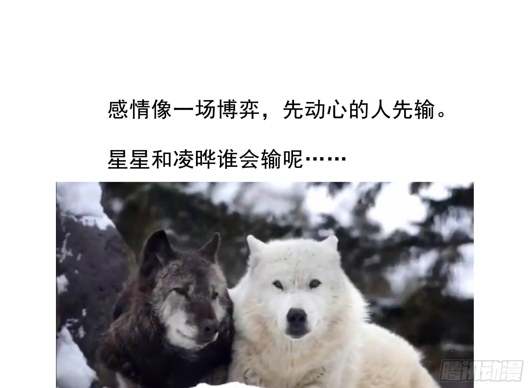 12. 梦50