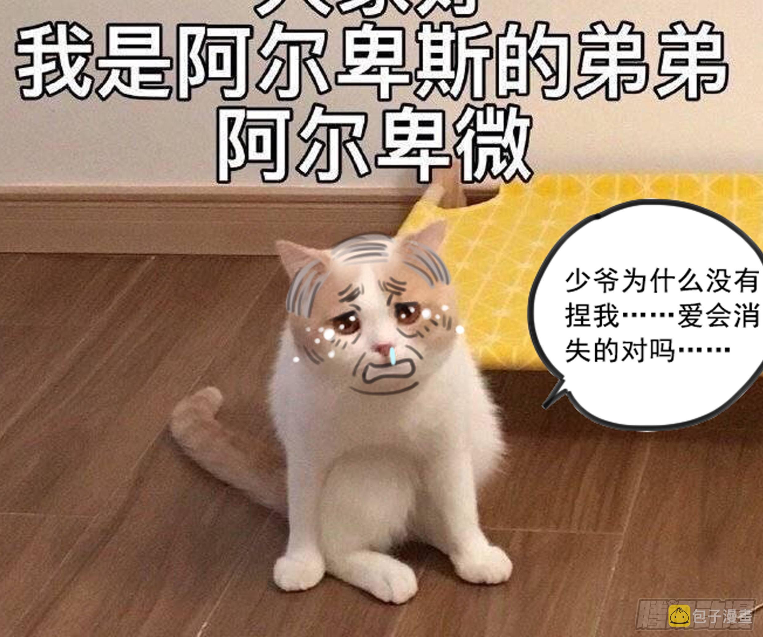 31. 亲 ~62