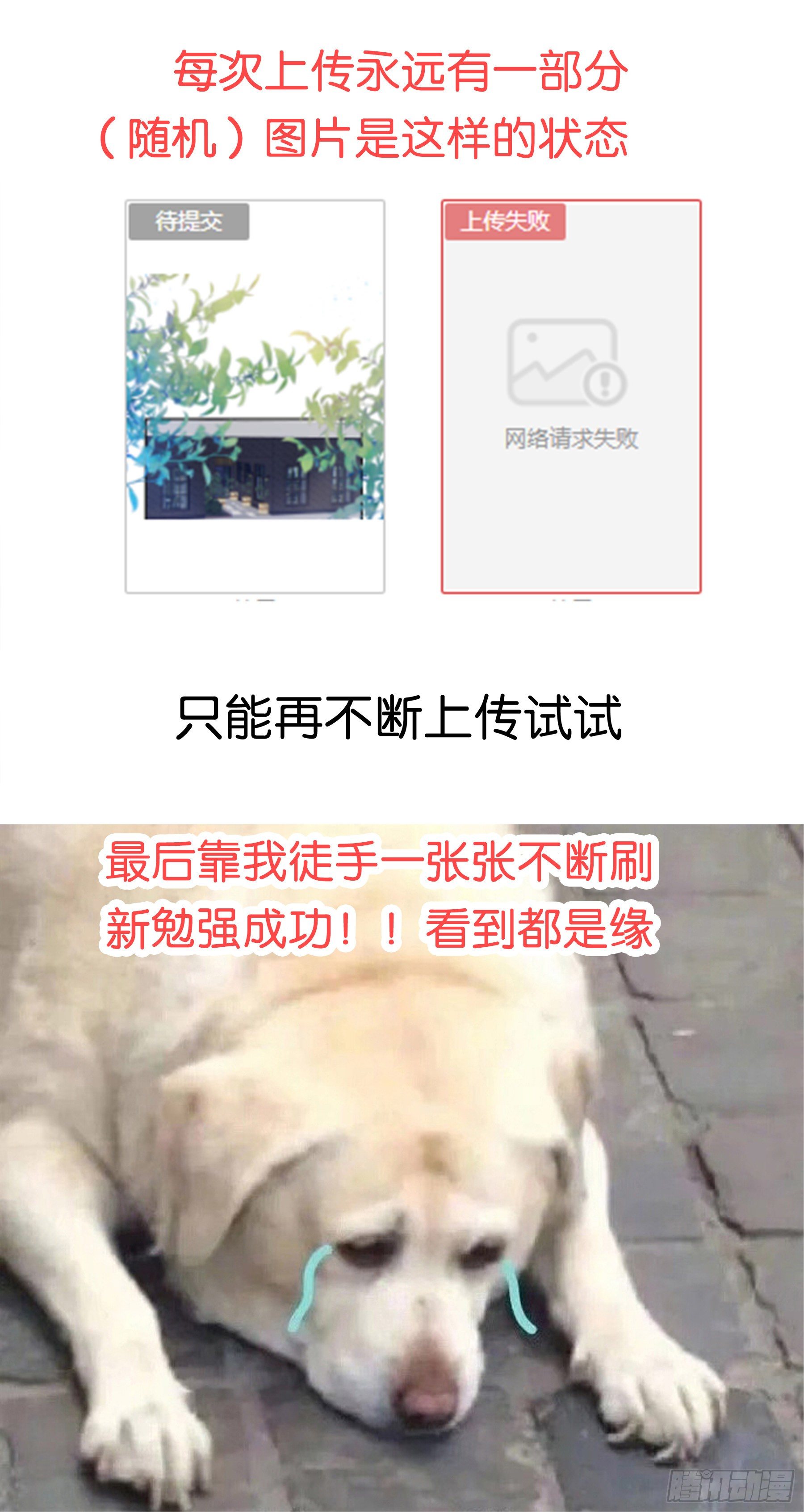 33. 可爱  可恶71