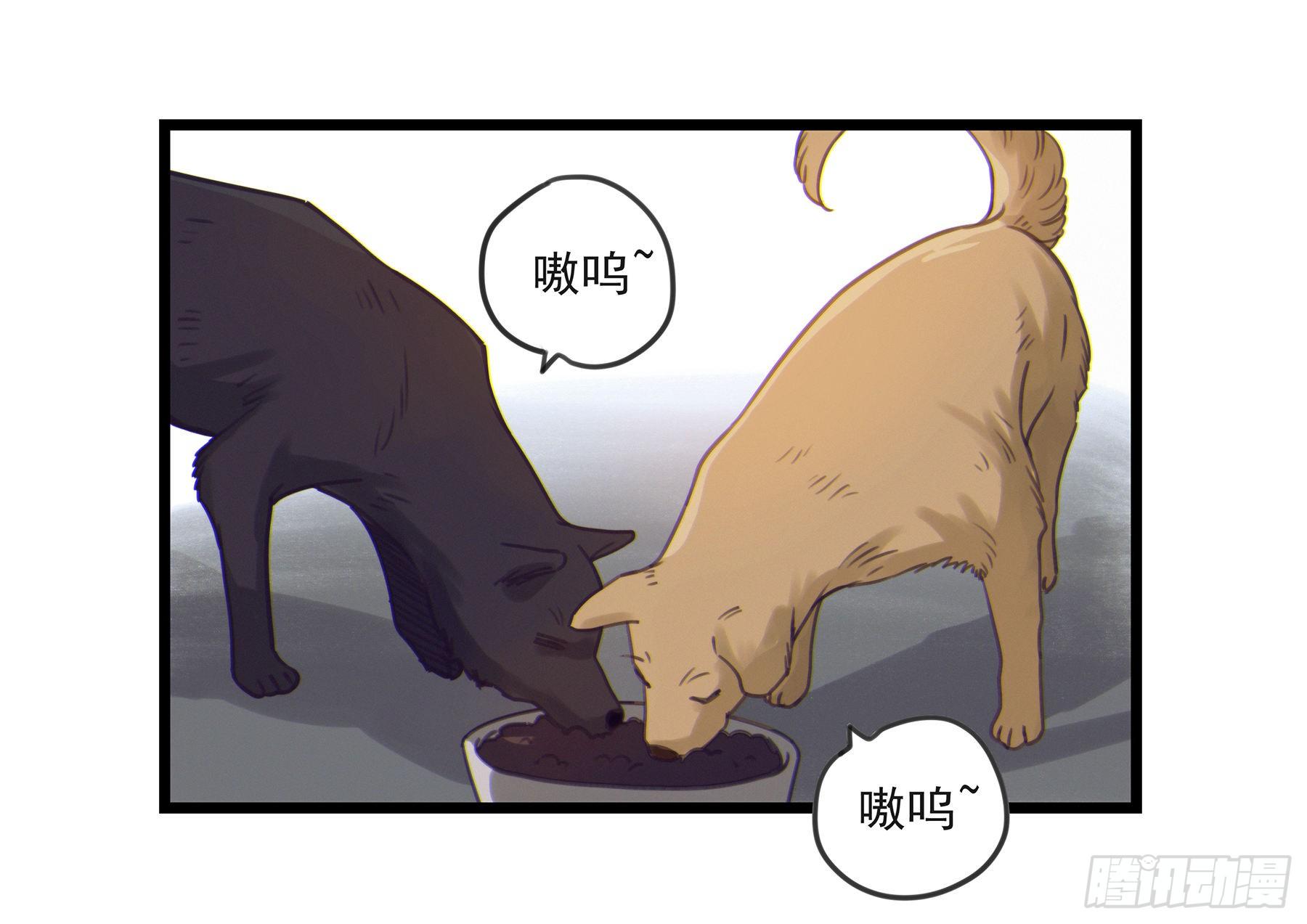 02.免赔条件25