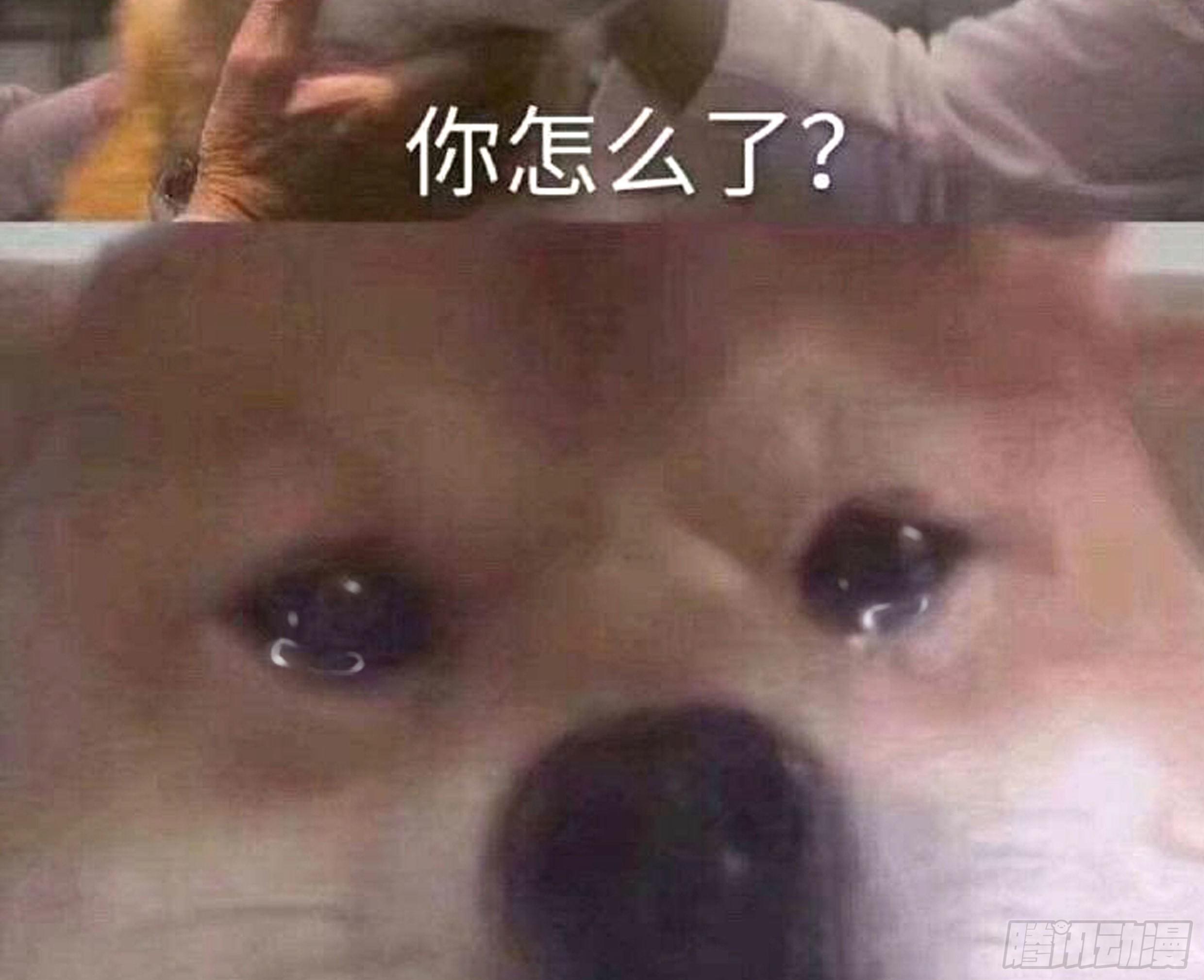 25. 喜欢他65
