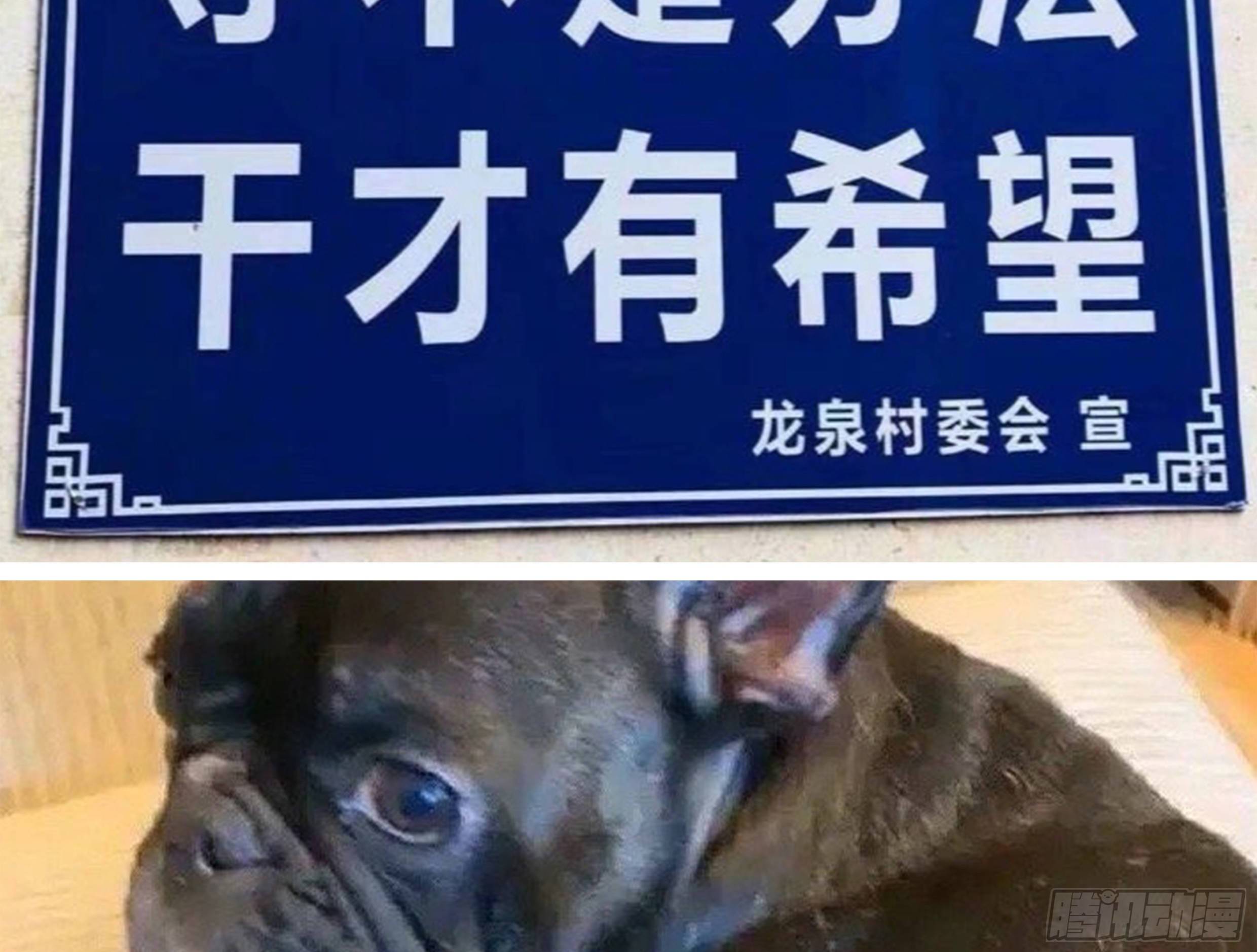 24. 心之所向70
