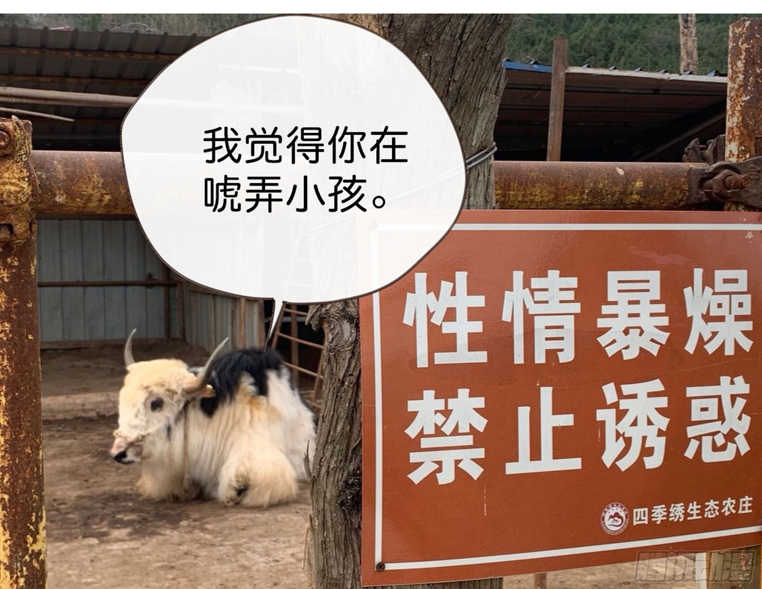 22. 狼狈59