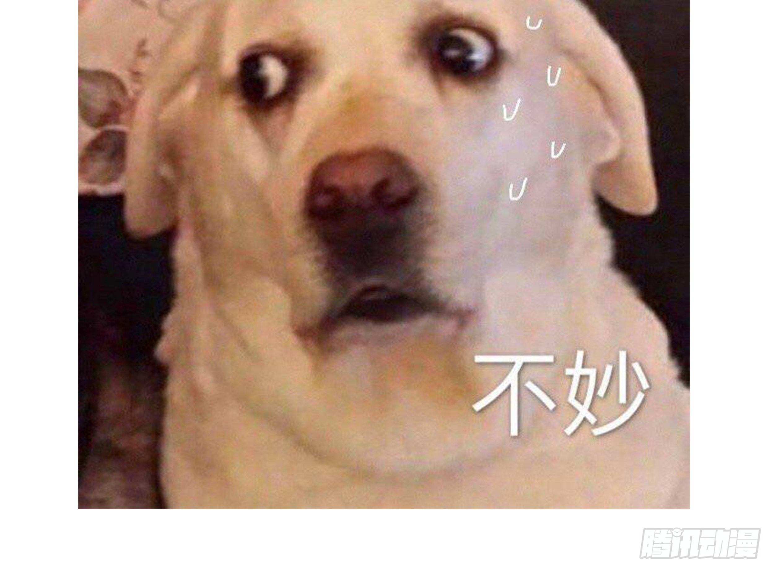 30. 敌意62