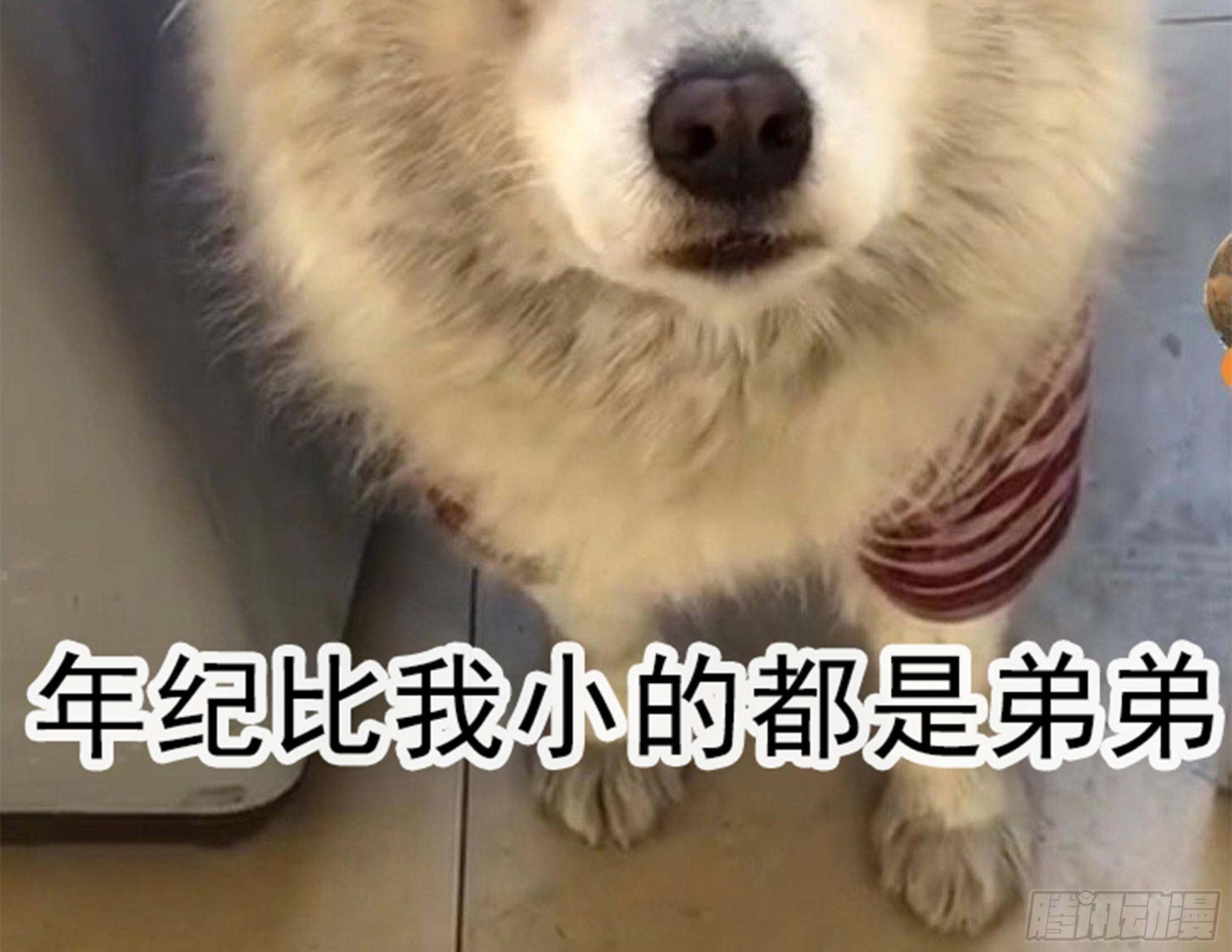 22. 狼狈61