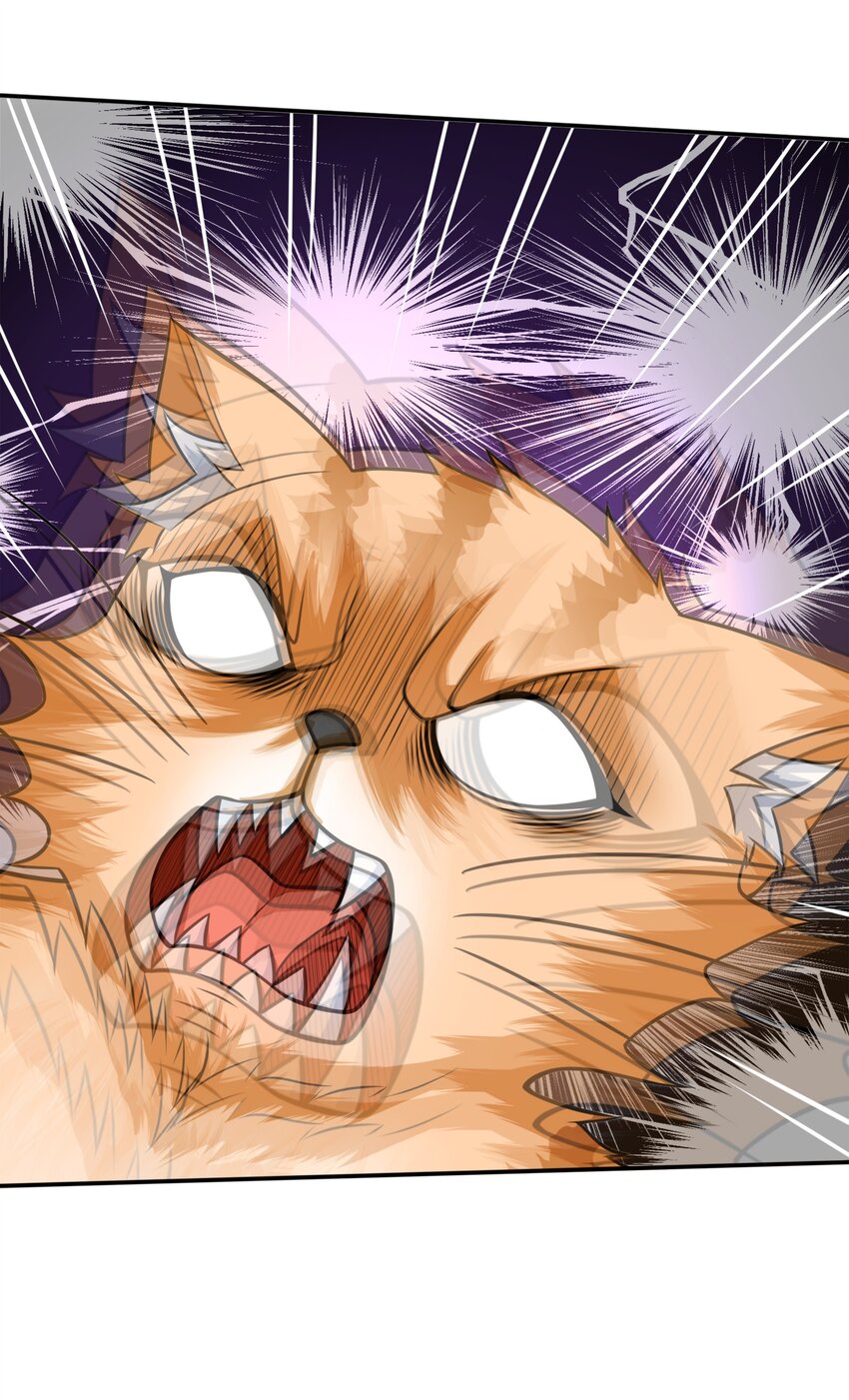 8 逗猫棒29