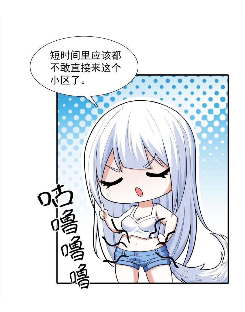 5 不走寻常路的猫13
