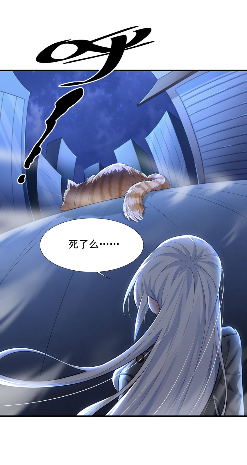 7 这猫真大55