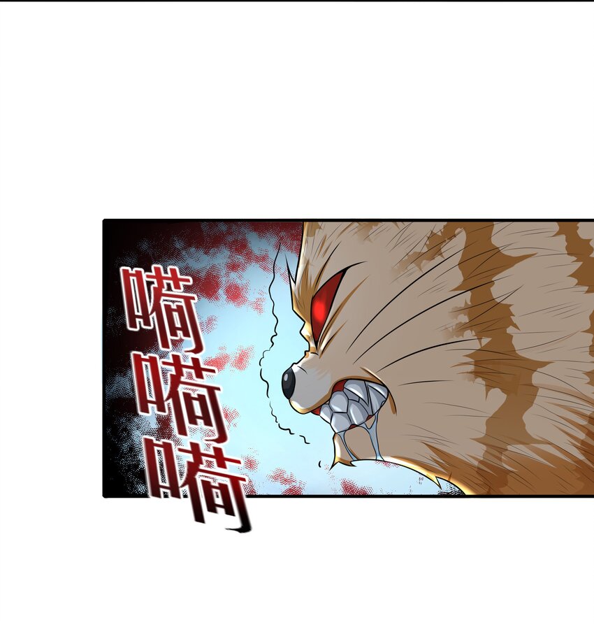 8 逗猫棒7