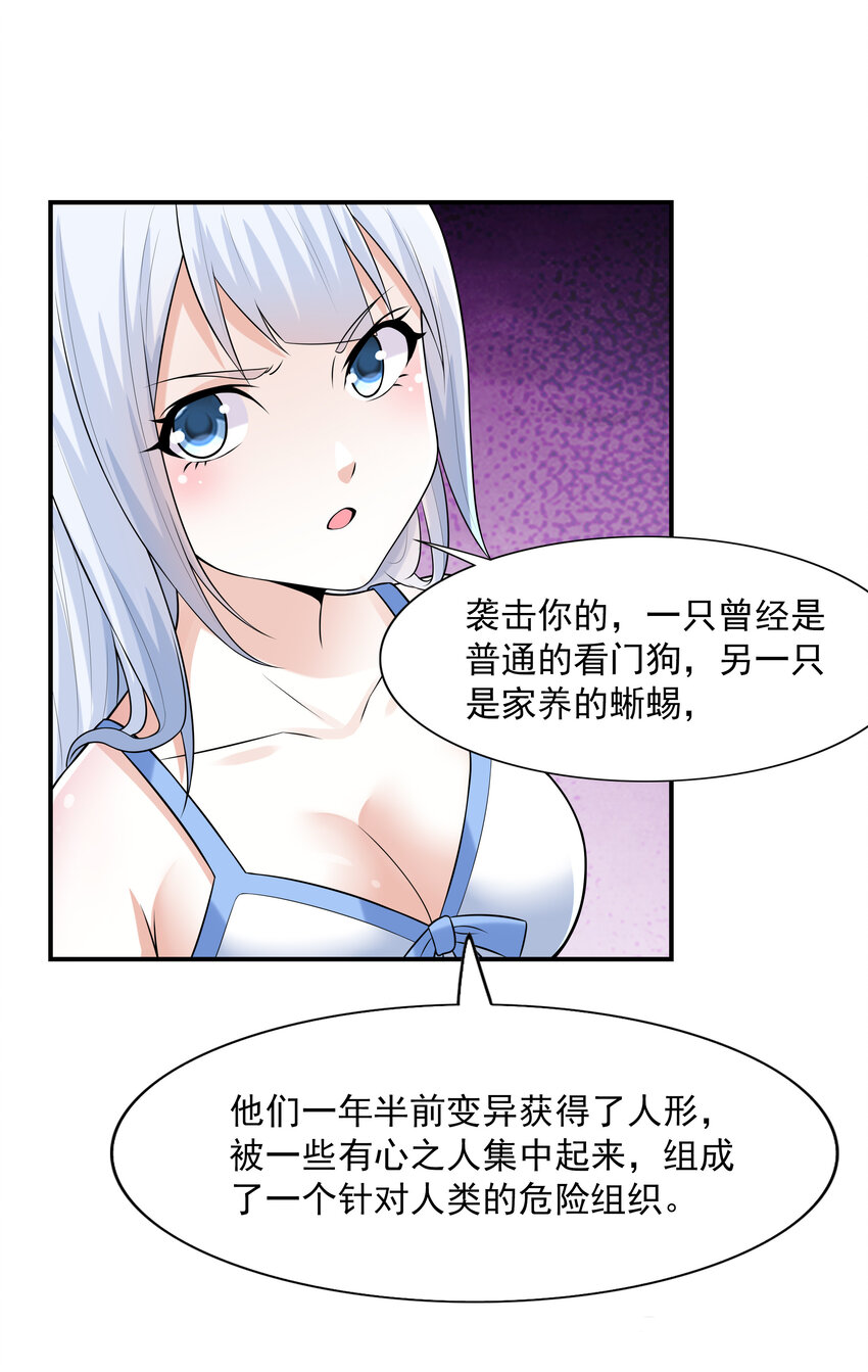 3 这个世界真的有兽耳娘39