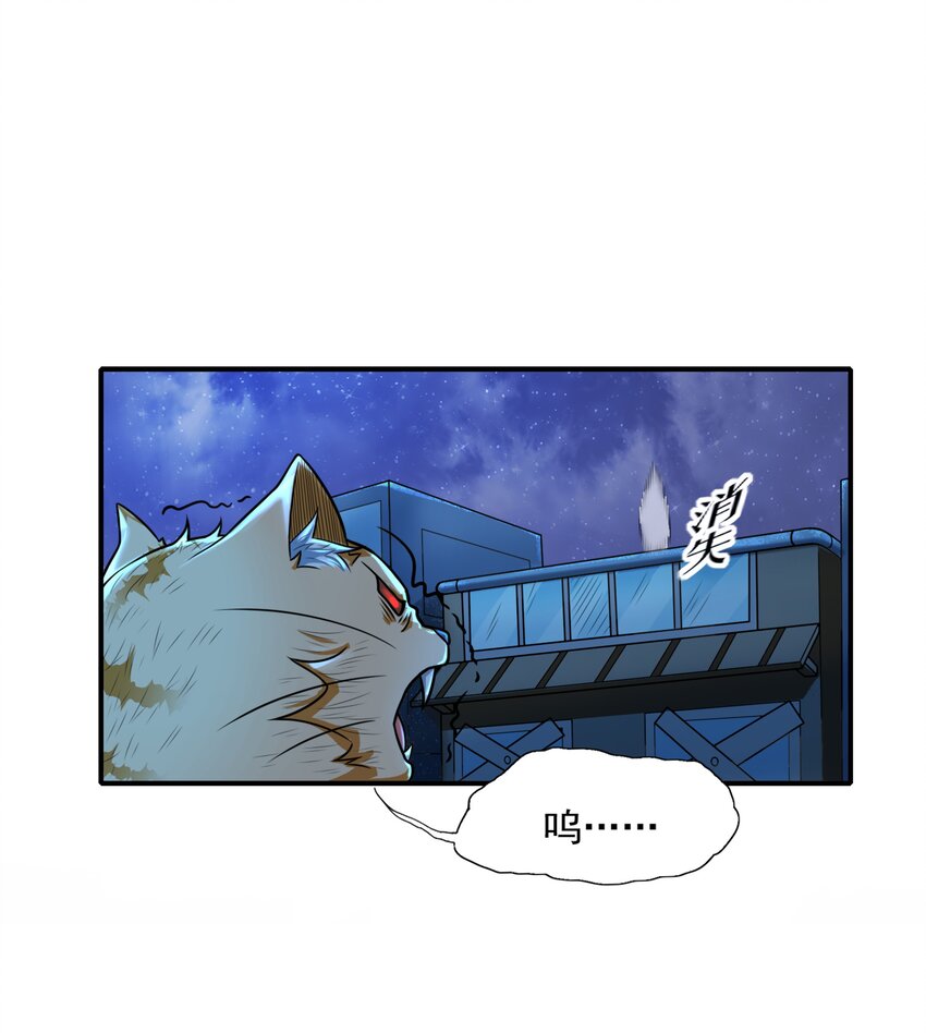 8 逗猫棒41