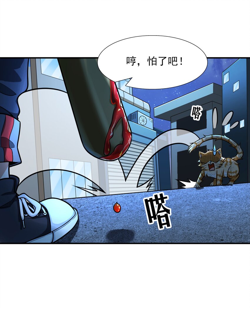 8 逗猫棒25