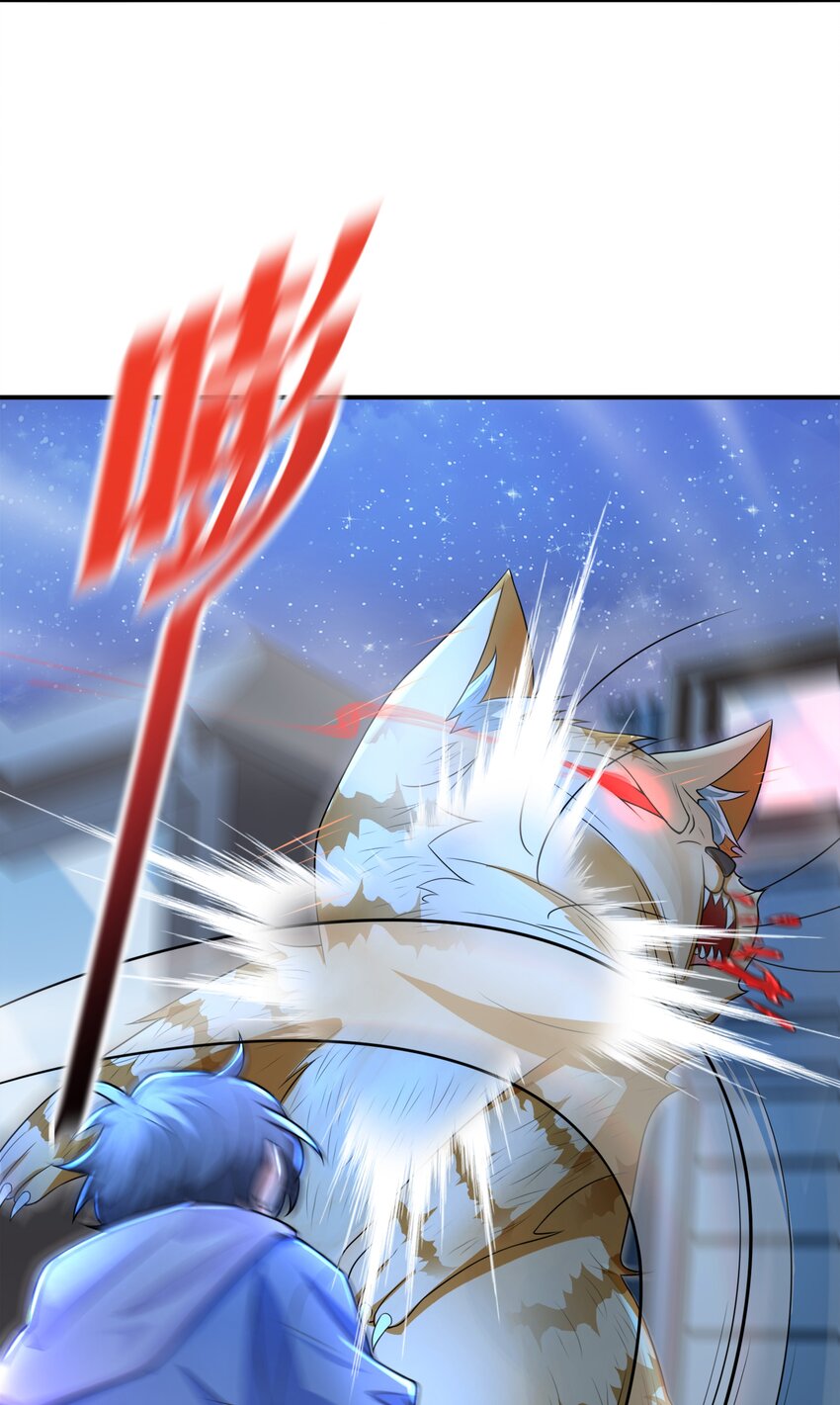 8 逗猫棒19