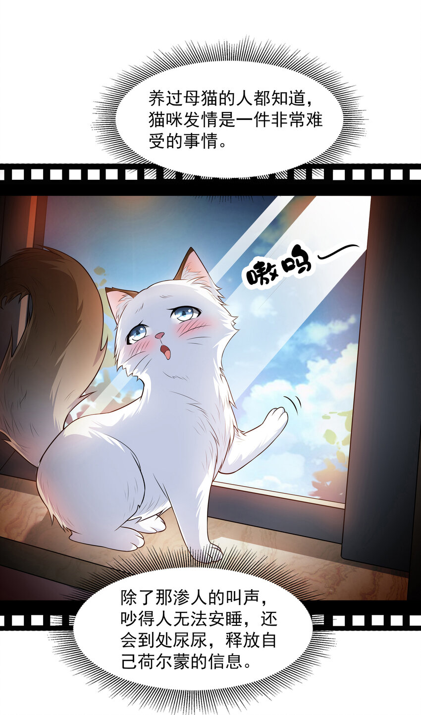 4 我的猫变成了美女1