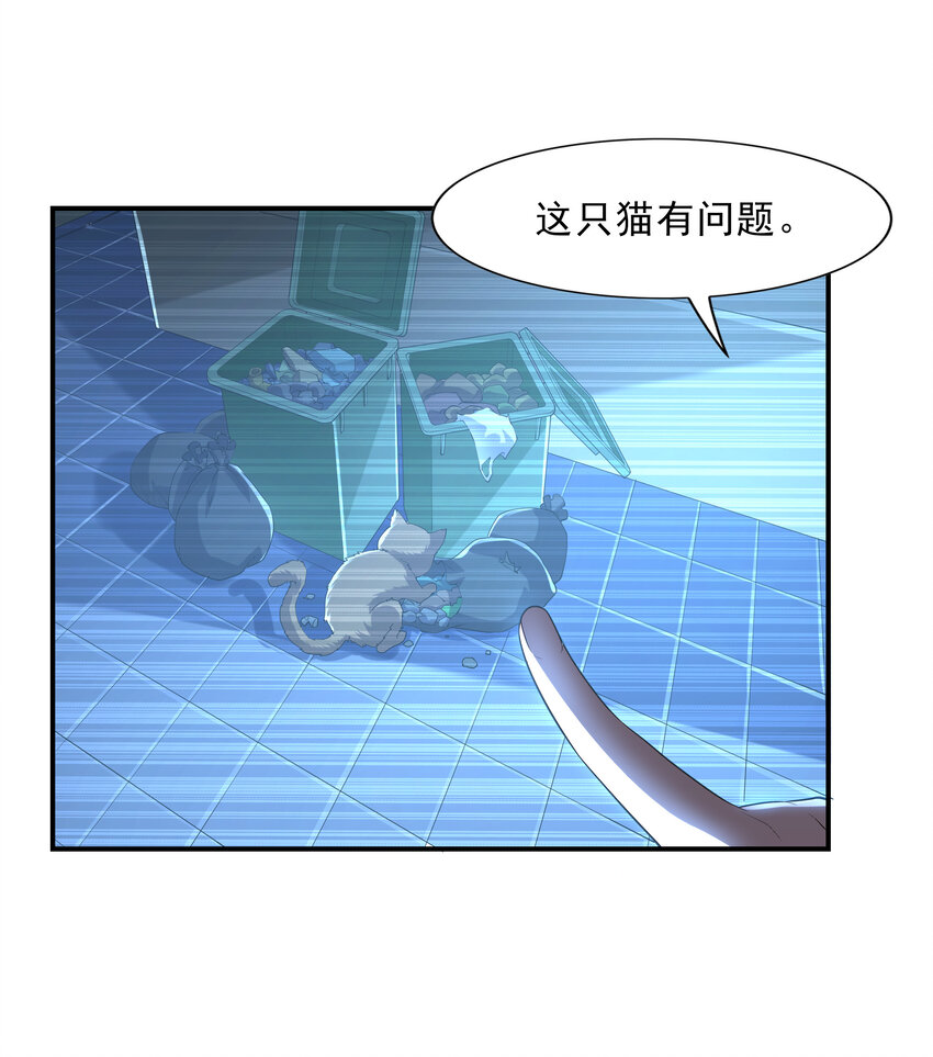2 神秘猫女28