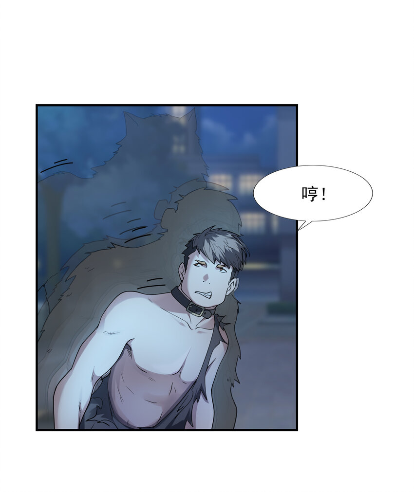 2 神秘猫女8