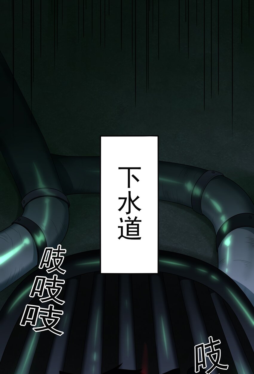 7 这猫真大34