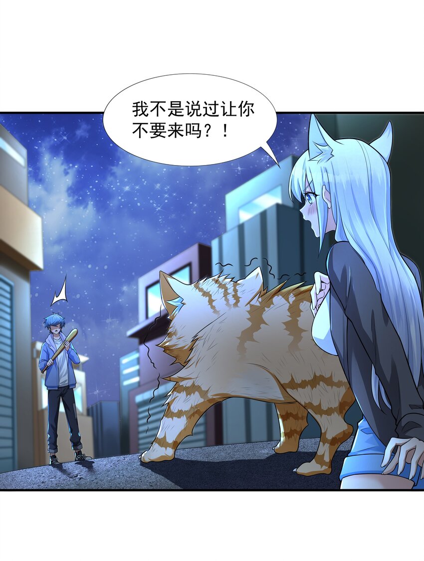 8 逗猫棒11
