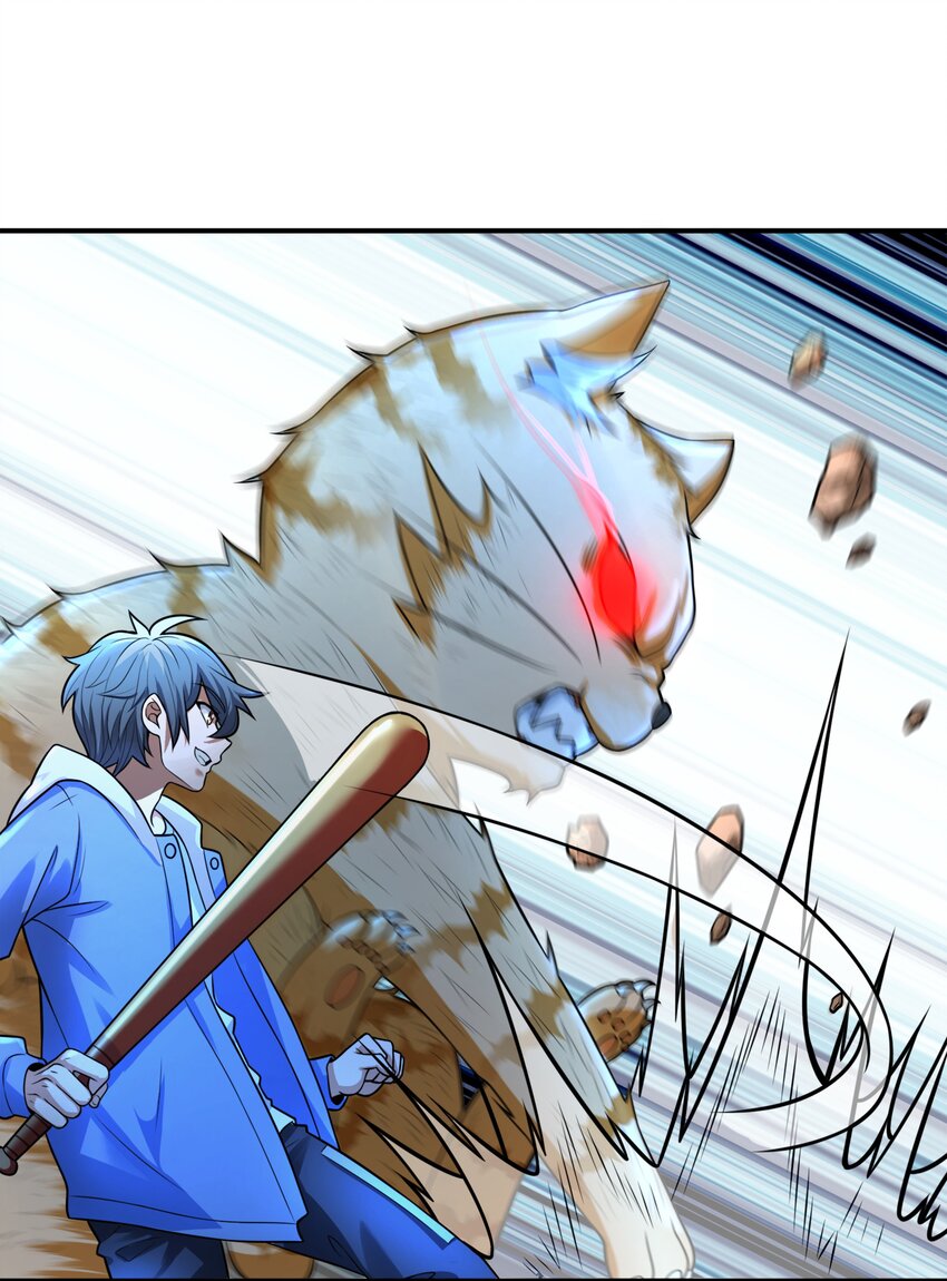8 逗猫棒21