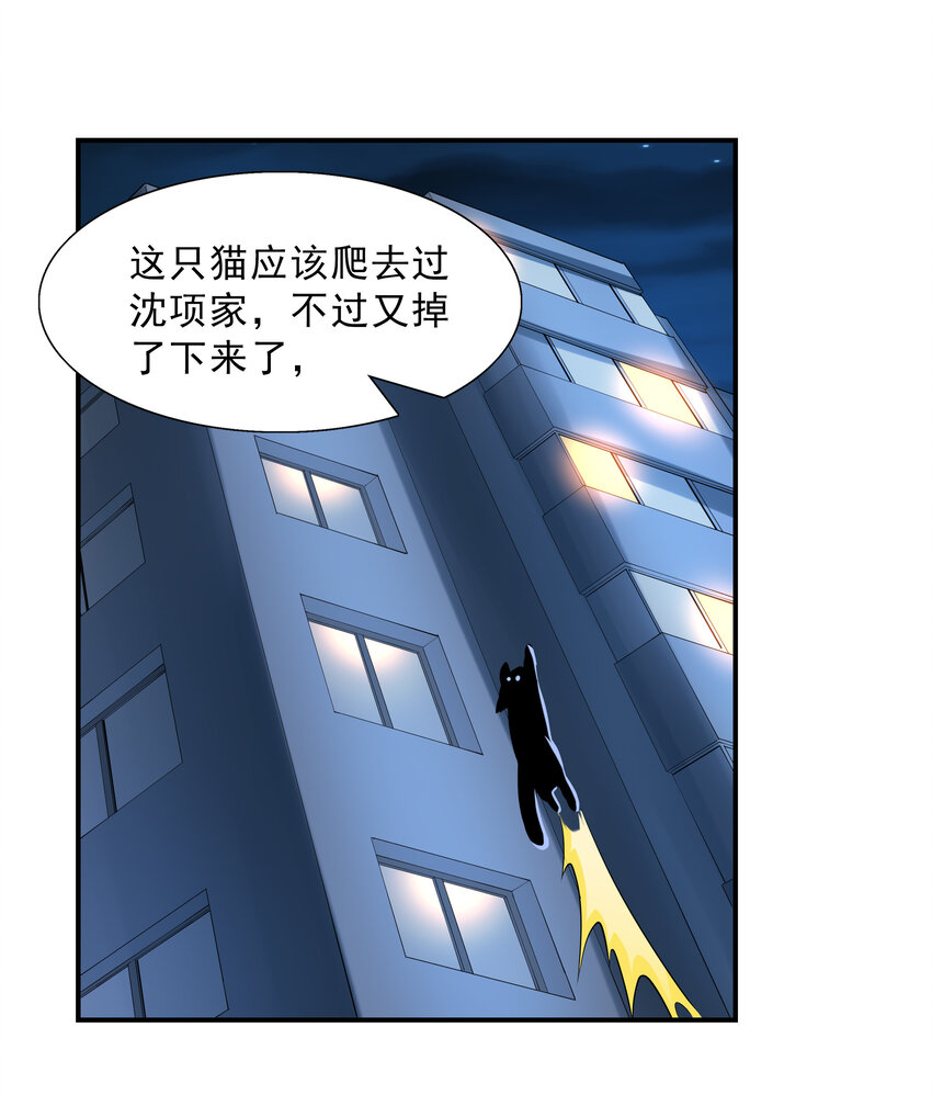 2 神秘猫女30