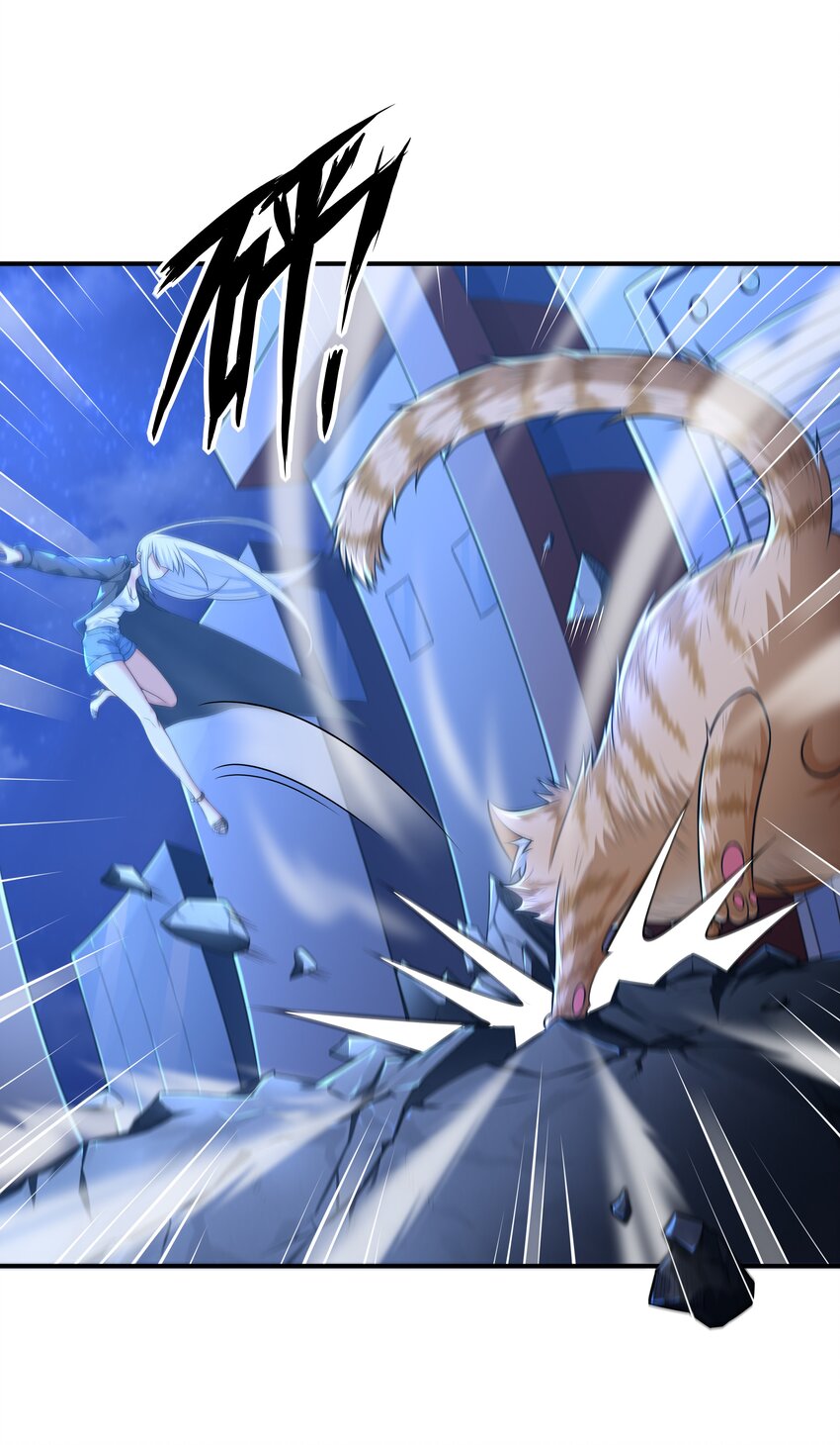 7 这猫真大44