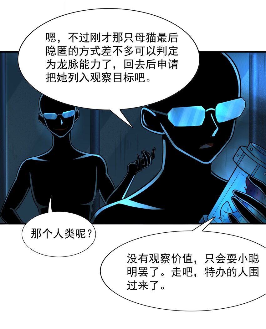 8 逗猫棒50