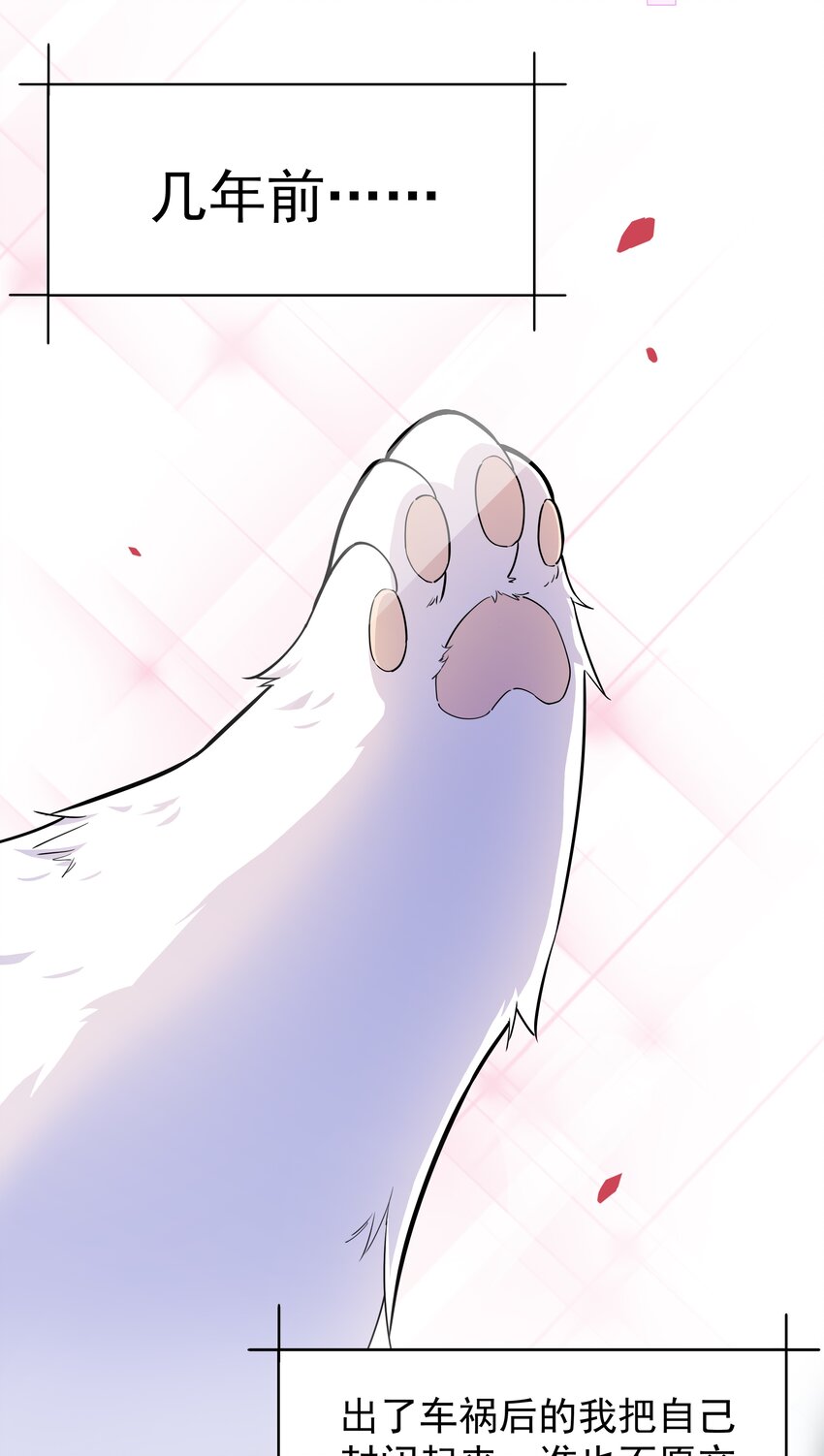 019 欢迎回家3
