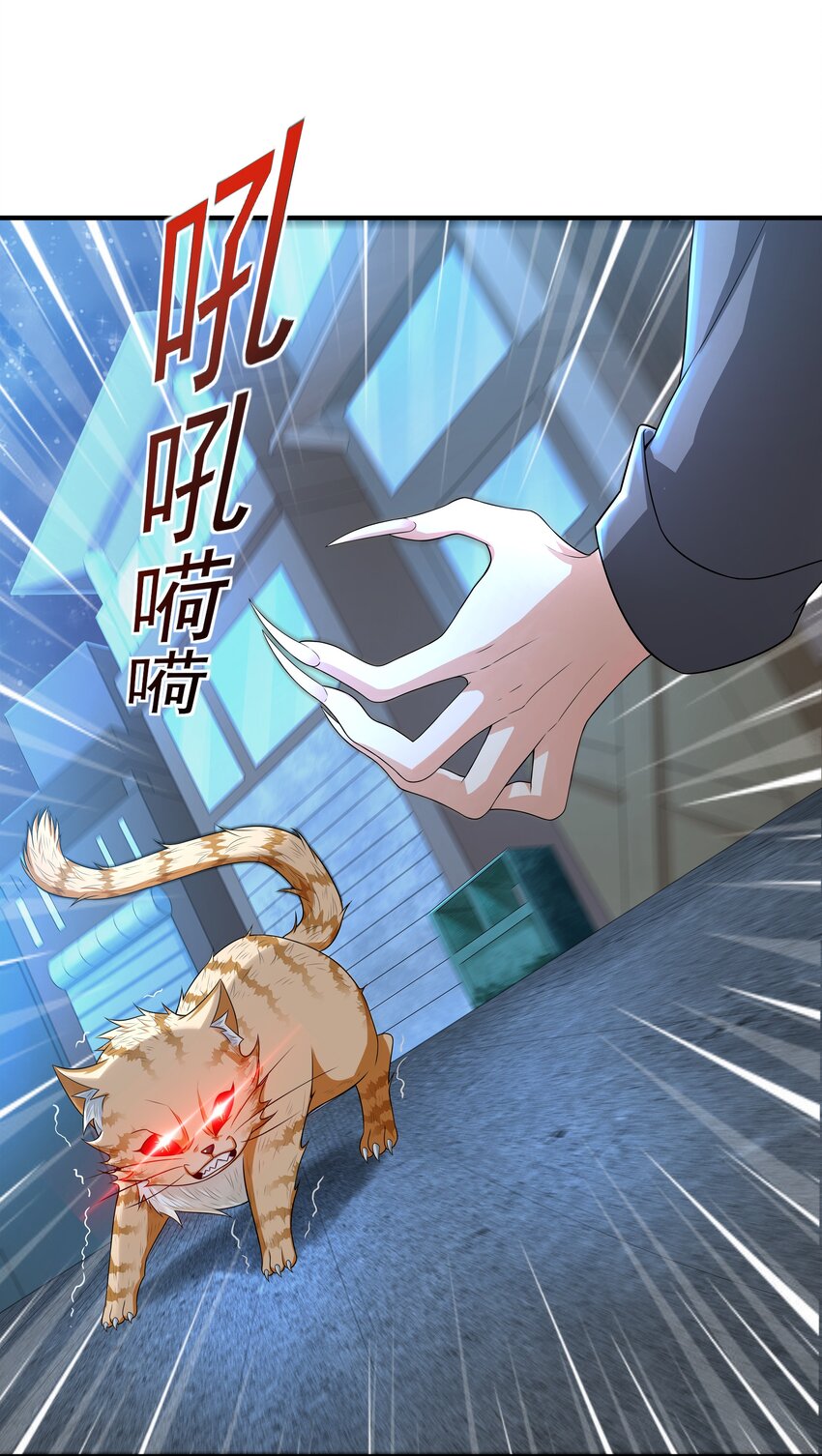 8 逗猫棒3