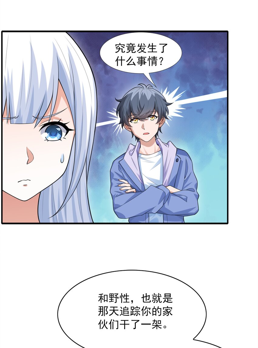 5 不走寻常路的猫4