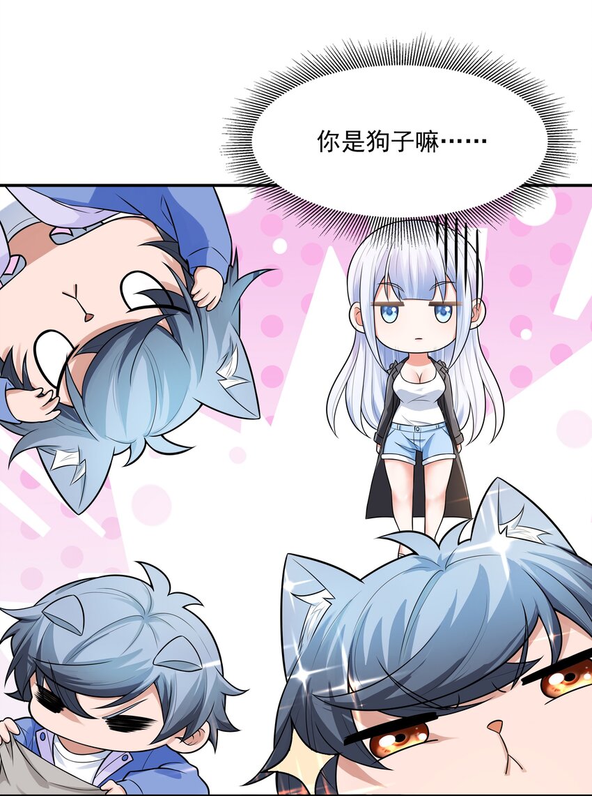 7 这猫真大6