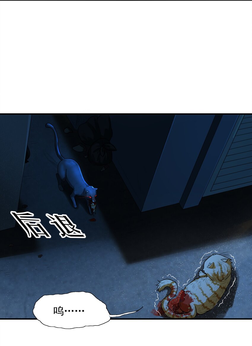 8 逗猫棒44