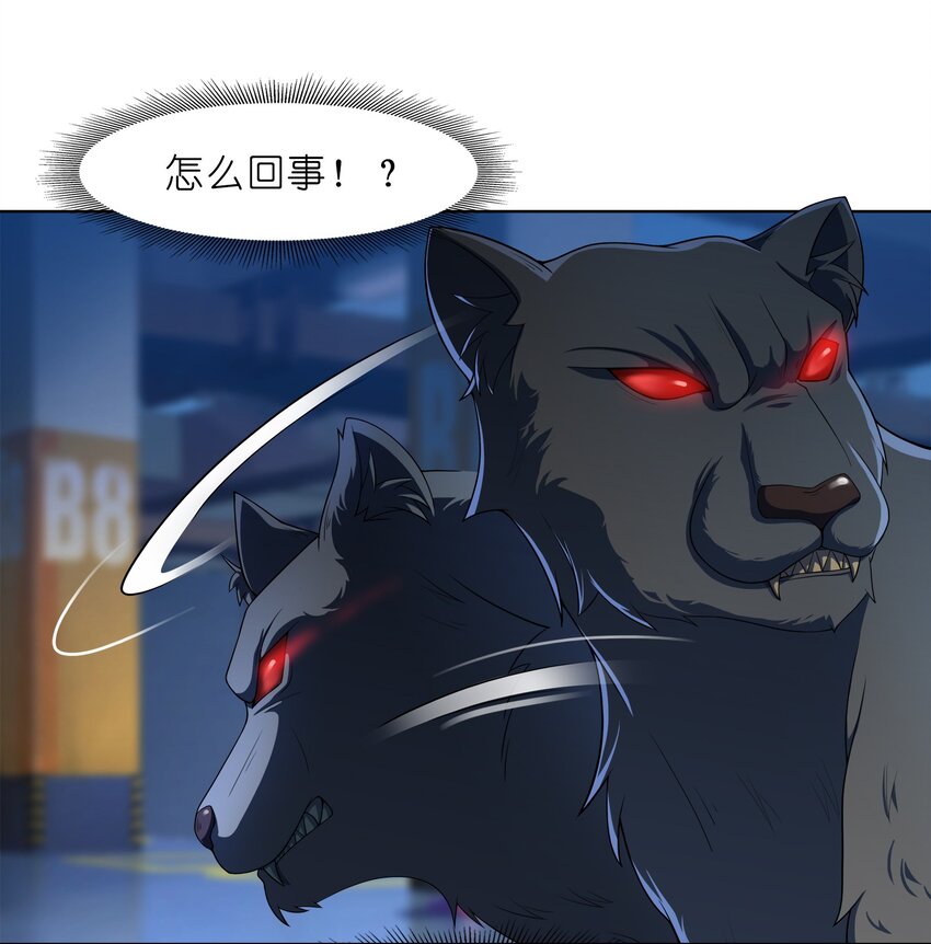 028 保护我方水晶17