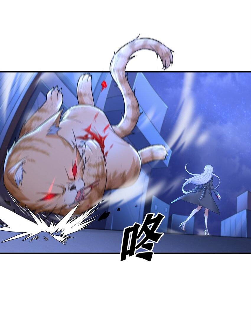 7 这猫真大53