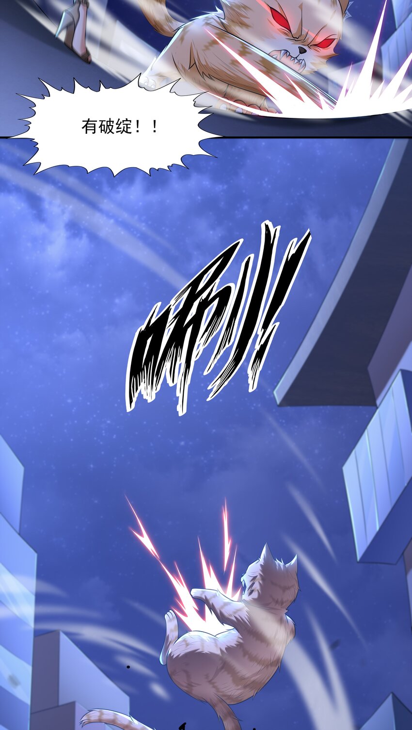 7 这猫真大51