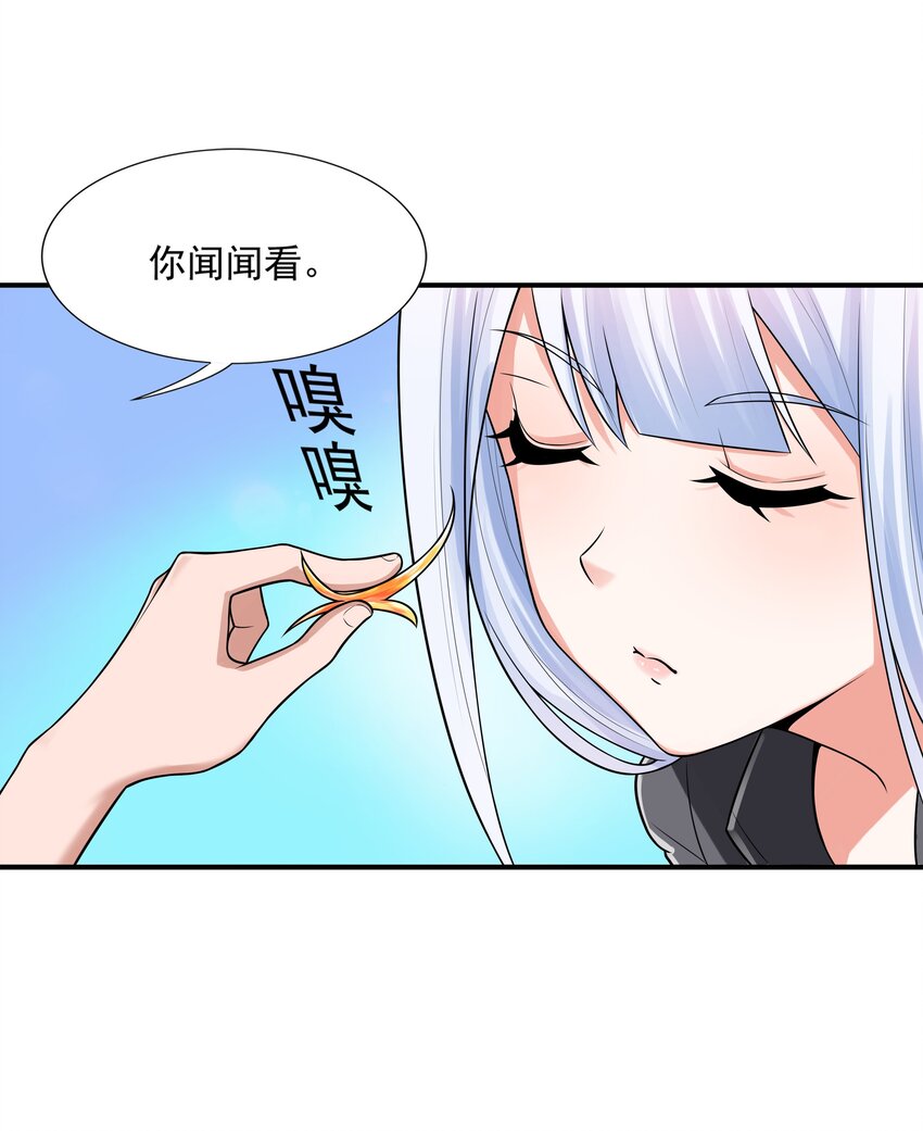 7 这猫真大11