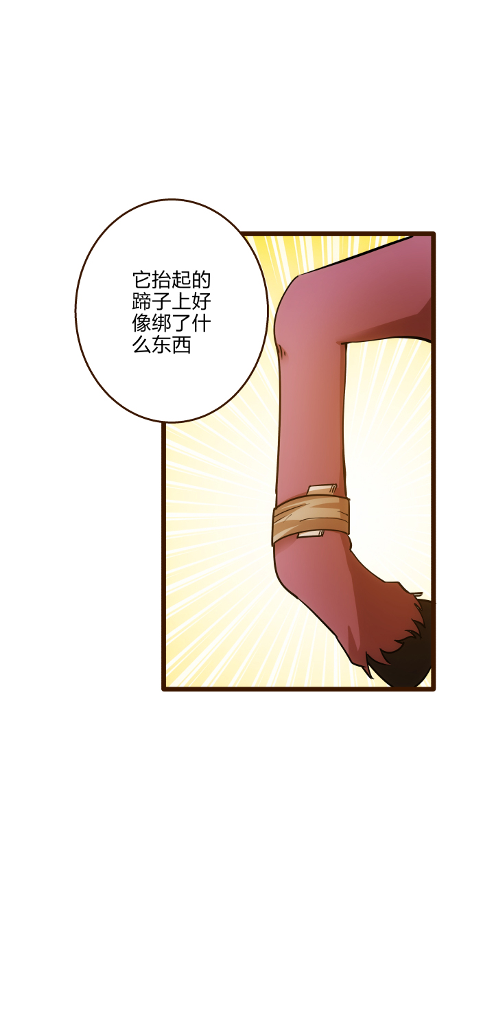35 后手16