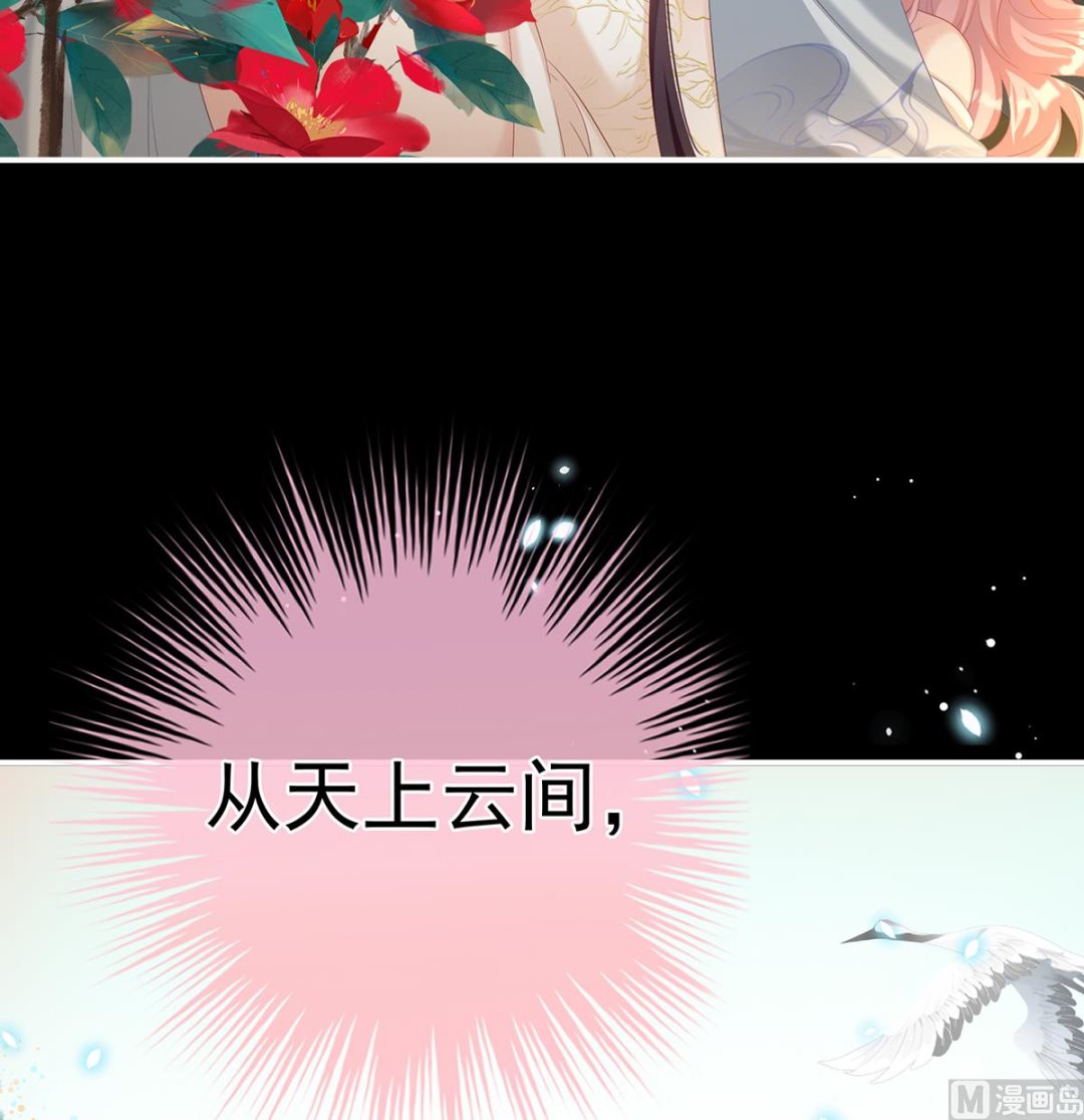 第67话 一夜留情49
